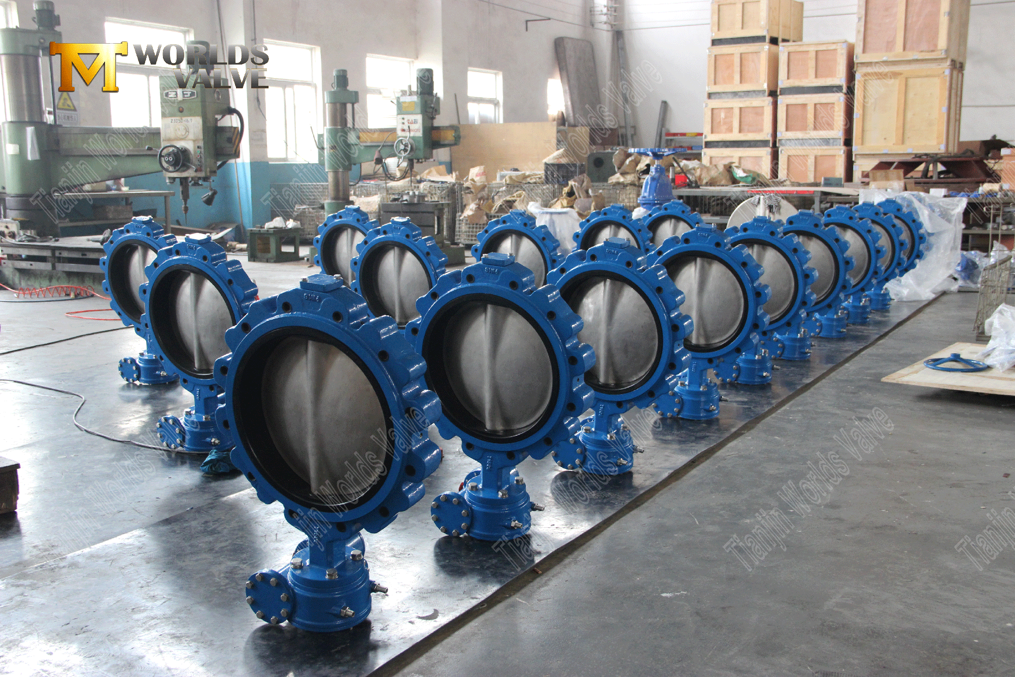 EPDM Seat Lug Butterfly Valves EPDM Seat Di Lug Butterfly клапан с червячной передачей