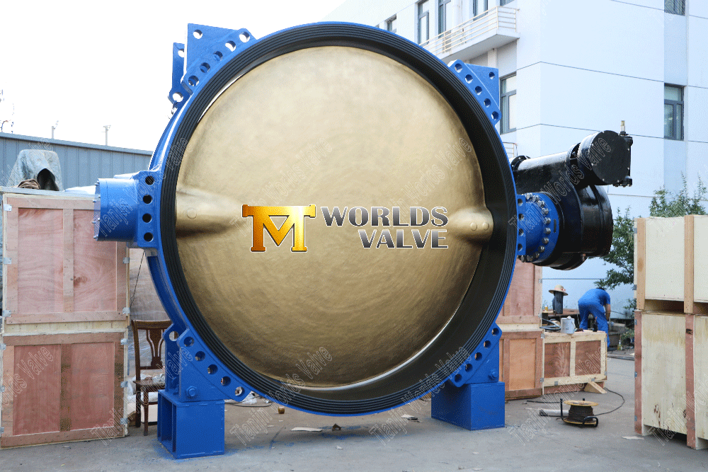 Largest Rubber Lined Butterfly valve in the whole of Asia Самая большая резиновая центральная линия центральной линии в Азии (2)
