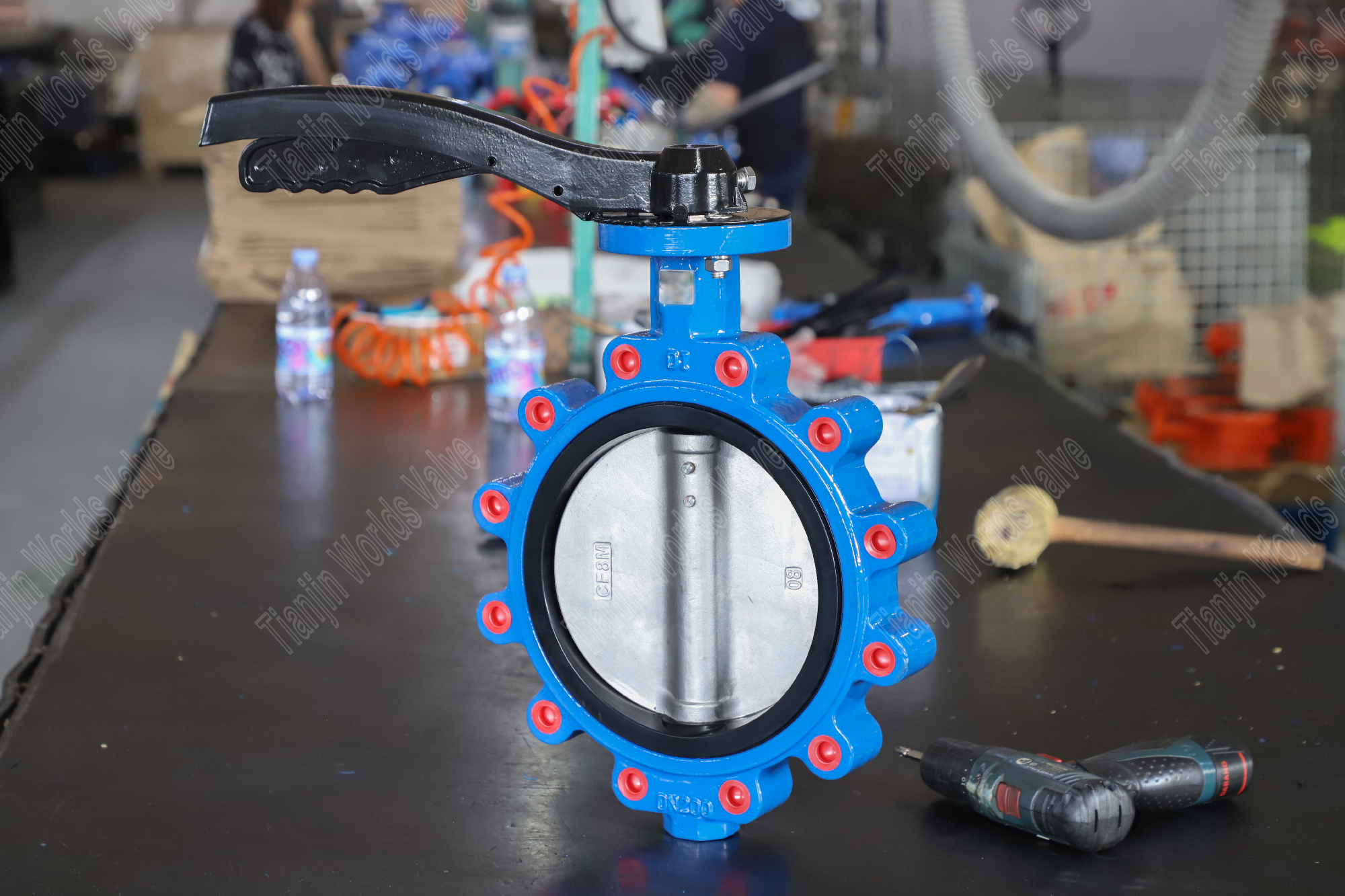 Lug Type Butterfly Valve-Classic Model Клапан бабочки Lug с корпусом клапана DI и диском из нержавеющей стали от китайского поставщика клапана бабочек (1)