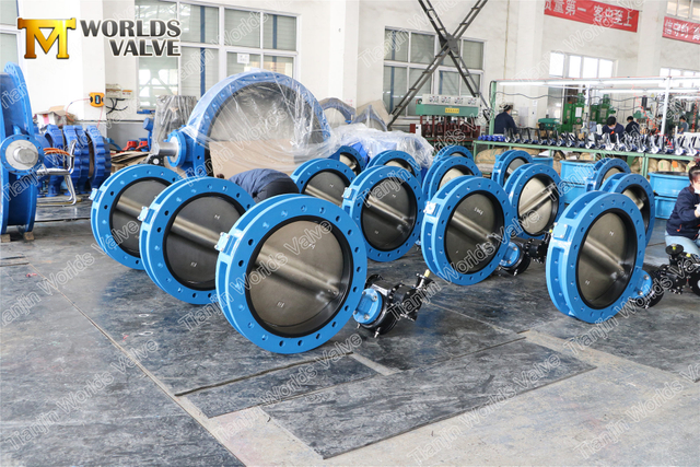 Двойные фланцевые U-образные дисковые затворы API609 Class150 150lb