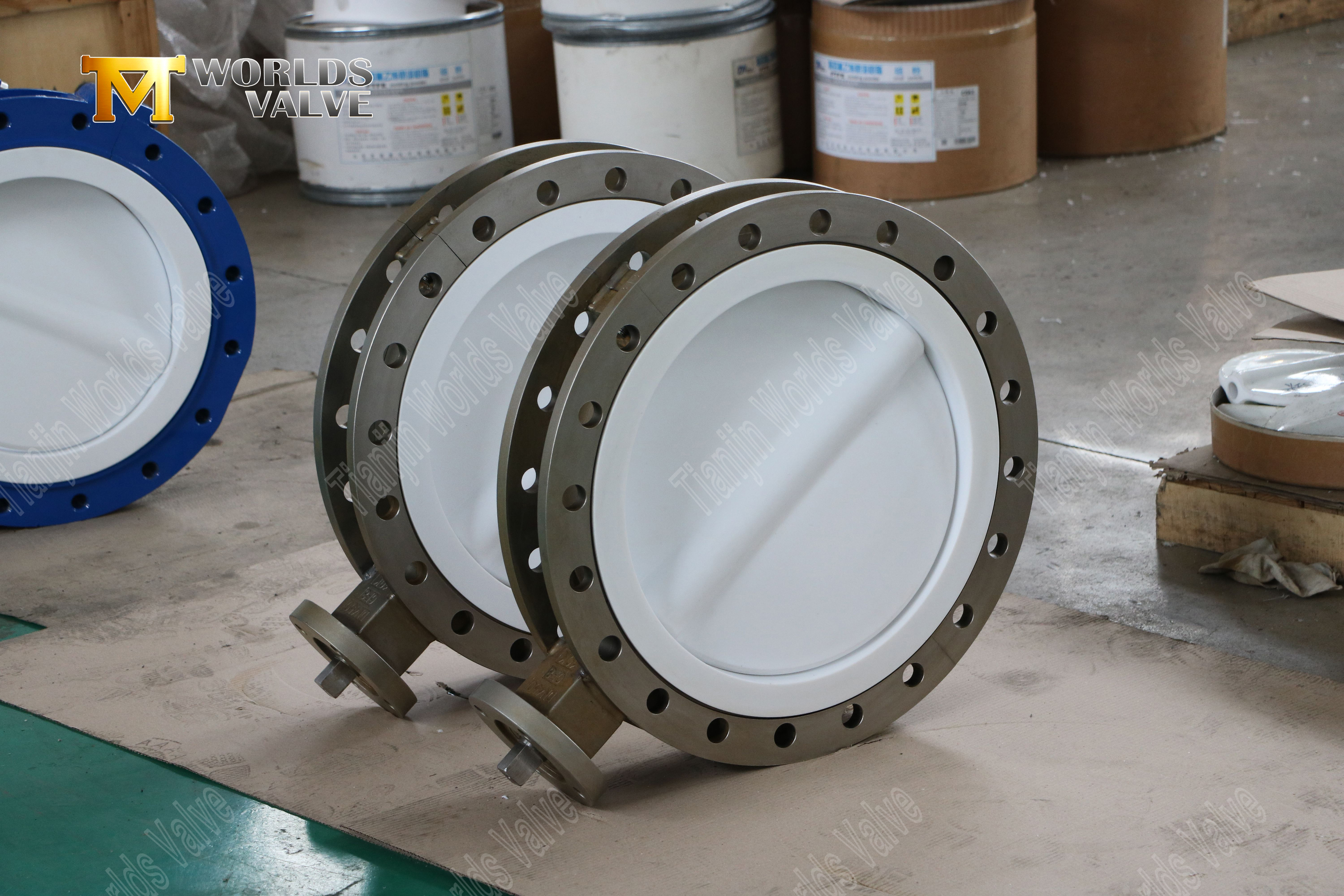 CF8M Сплит для кузова клапан бабочки с PTFE Disc & Seat-3 (3)