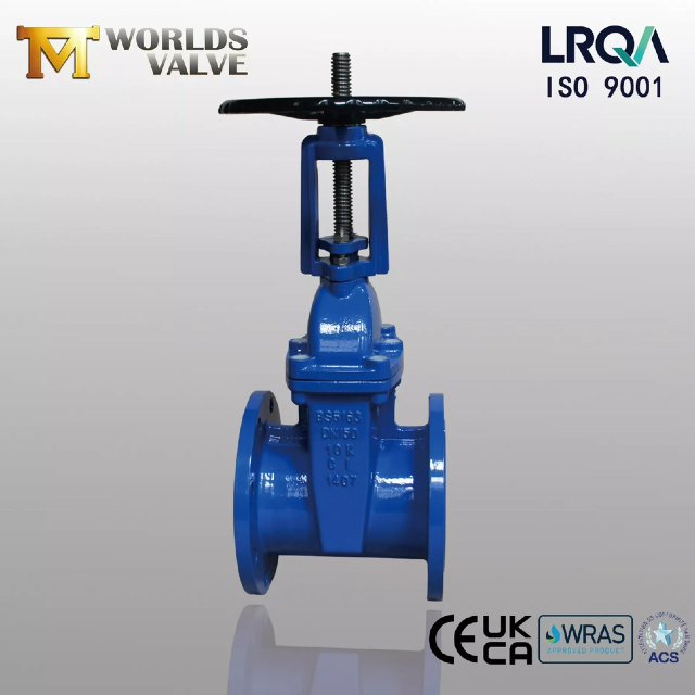 ResilientSeatedGateValve против задвижки с металлическим седлом — что следует знать?