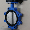 Conceptic Lug Pourged Full Bath Butterfly Valve с резиновым мягким сиденьем API609 / API598 / EN593