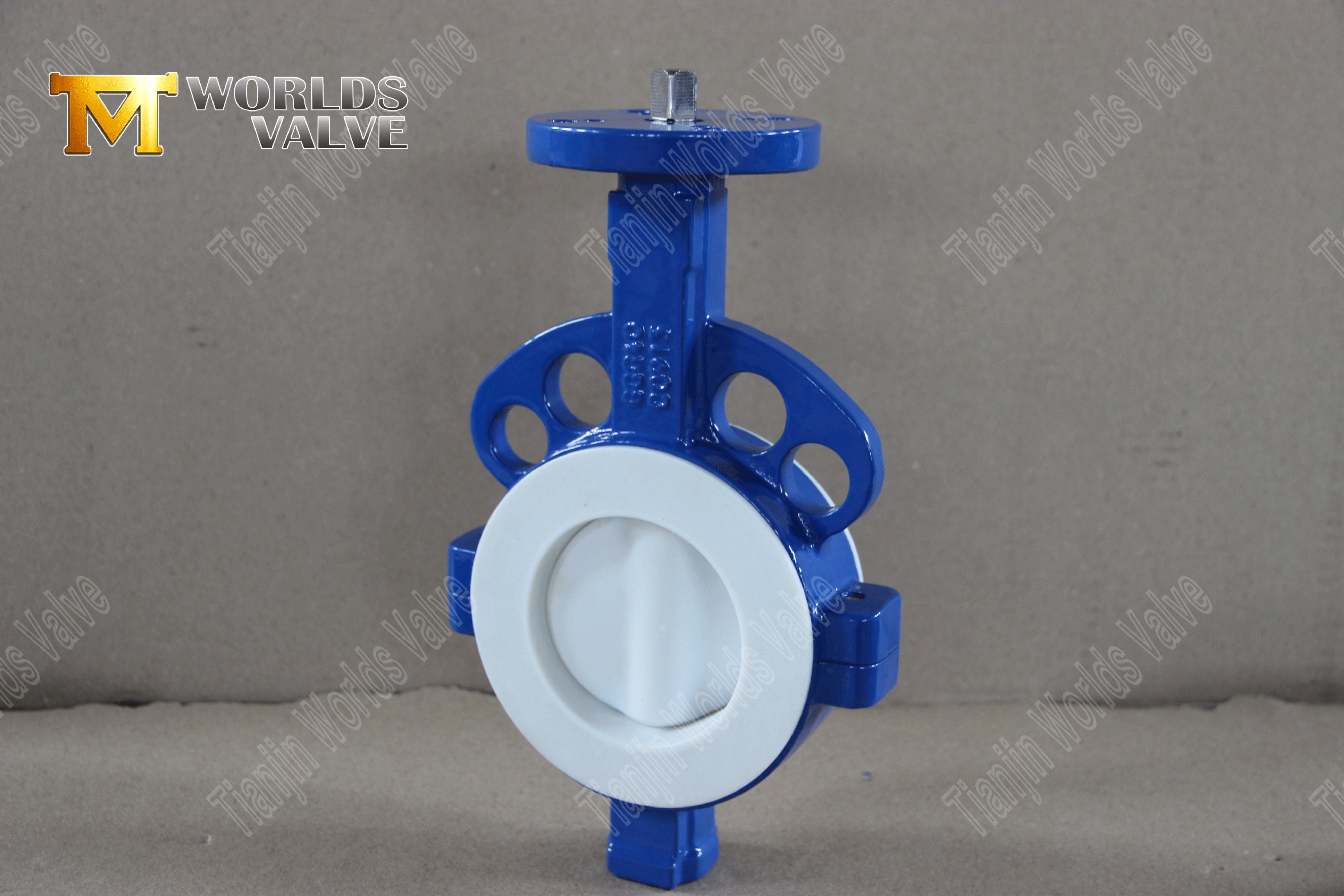 PTFE-Liken-Butterfly-Valve