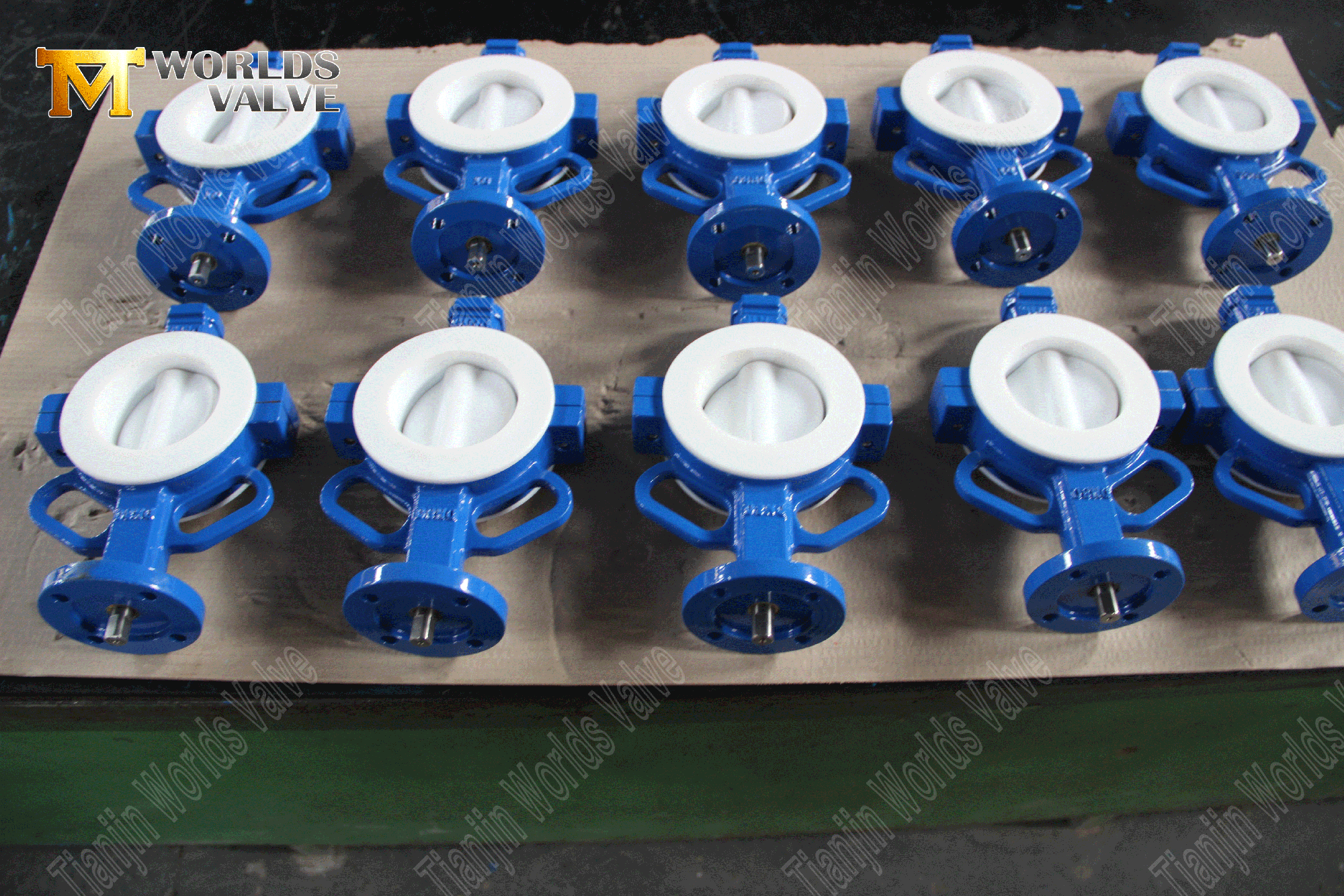 Ptfe-ully-inded-wafer-butterfly-valve- (5)