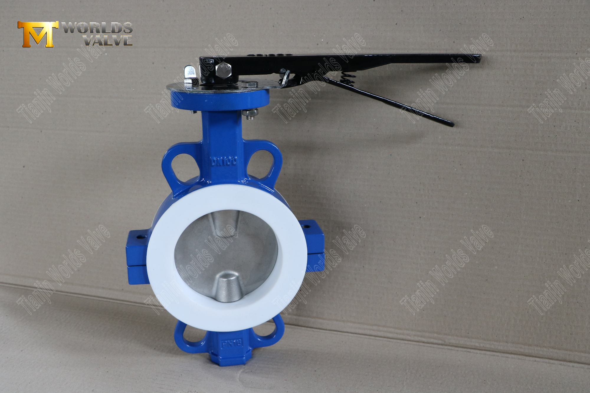 DN100-TEFLON LINED-WAFER-SPLIT-BOUDY-BUTHTERFLY-VALVER-CORROROSION-устойчивый