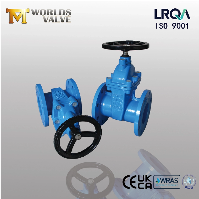 Изучение типов и особенностей ResilientSeatedGateValves