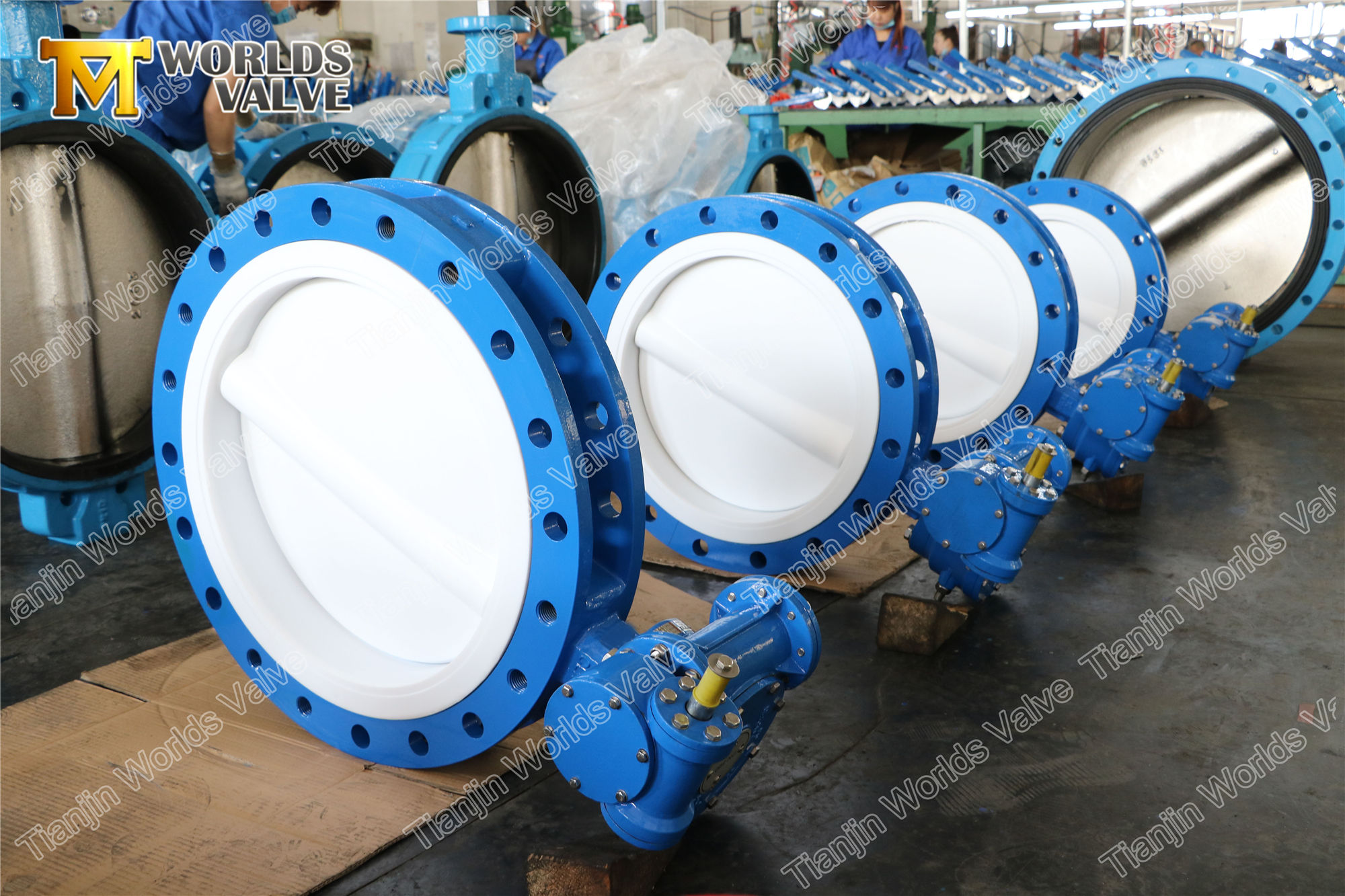4 A536 A395 Движно-Железо Бабочка PTFE Клапан