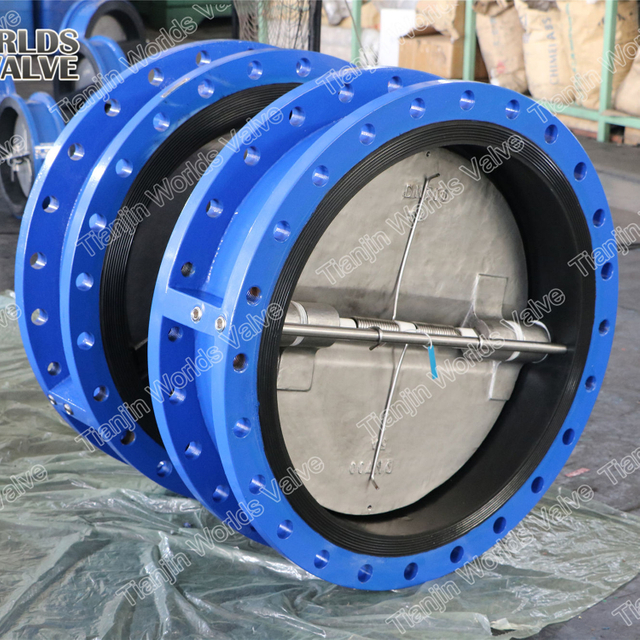 Полный резиновый выстроитый обратный клапан с двойными фланцами соединения