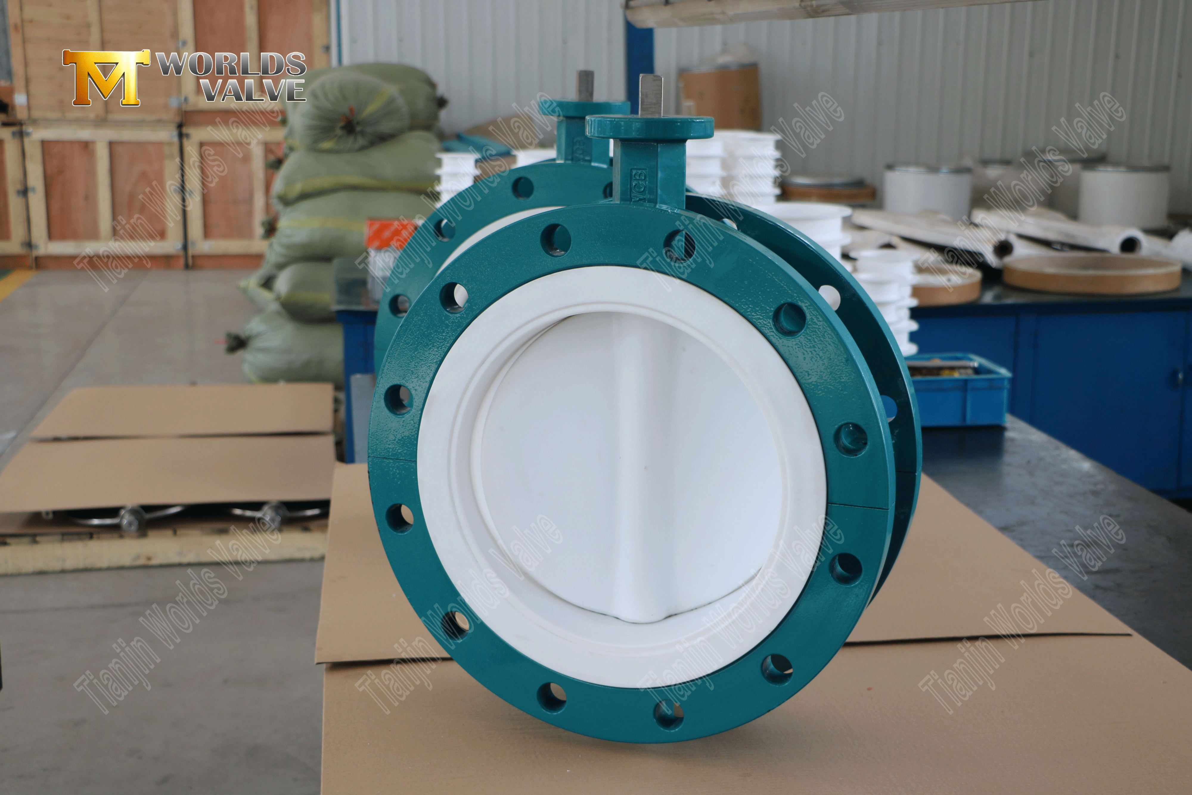 Герметичная шестерна с двойной фланцевой подкладкой PTFE клапаны бабочек (8)