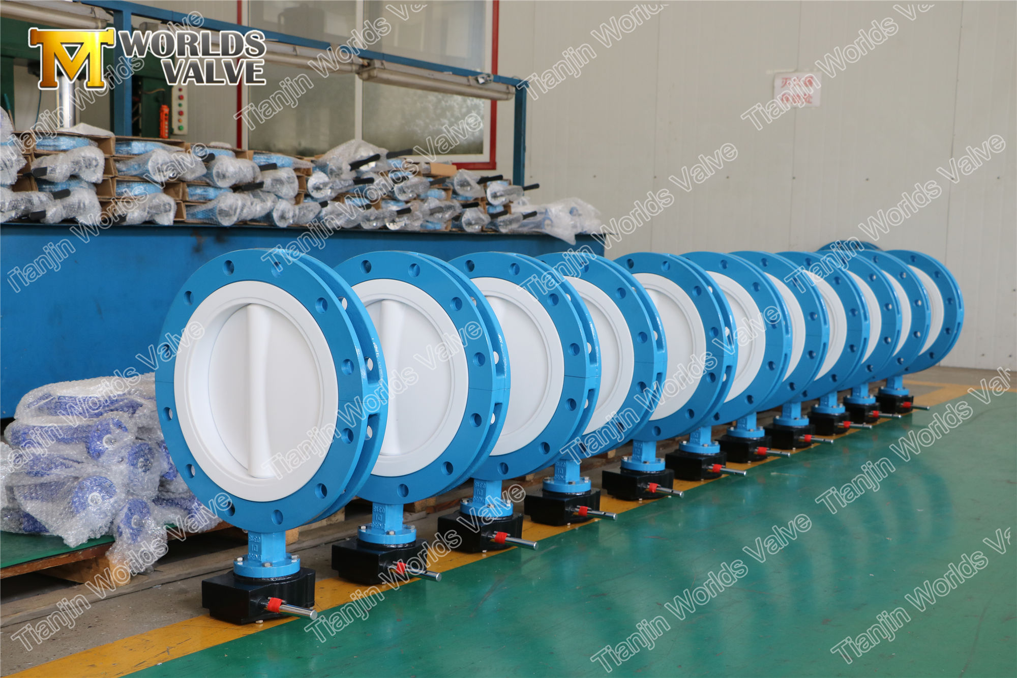 5 CF8 CF8M CF3 CF3M PTFE Wafl Butterfly Valve