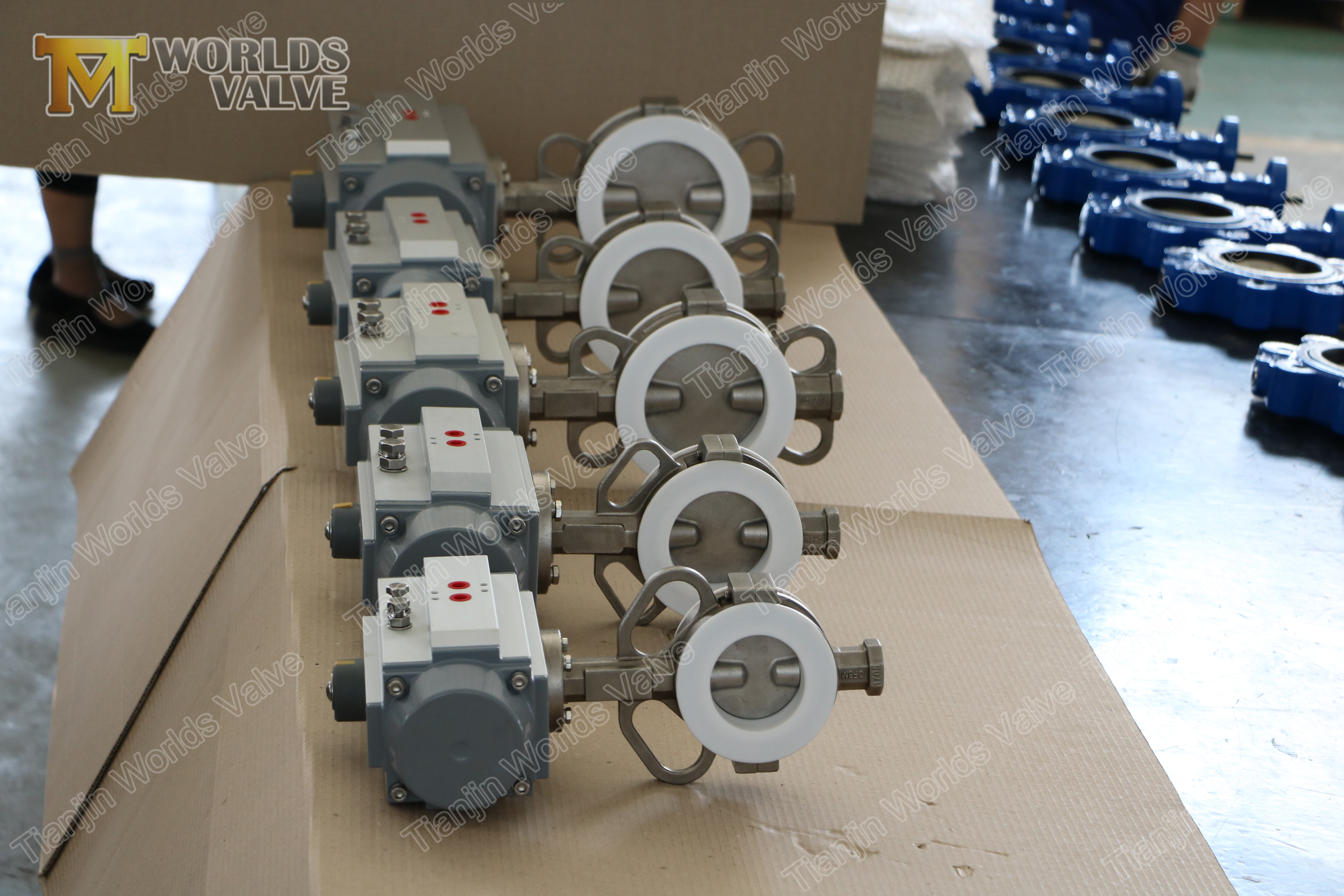 5 Putumatic PTFE CAPET CALEFLEFLE BOUTHERFLE, диск из нержавеющей стали