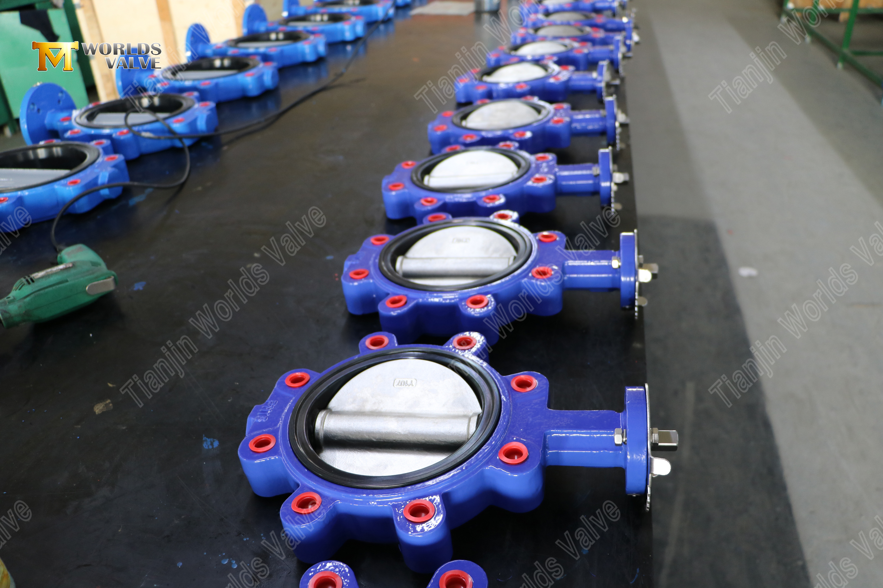 Дисковый затвор с проушинами и сменным седлом из EPDM, корпус DI, диск CF8M, OEM-поставщик (9)