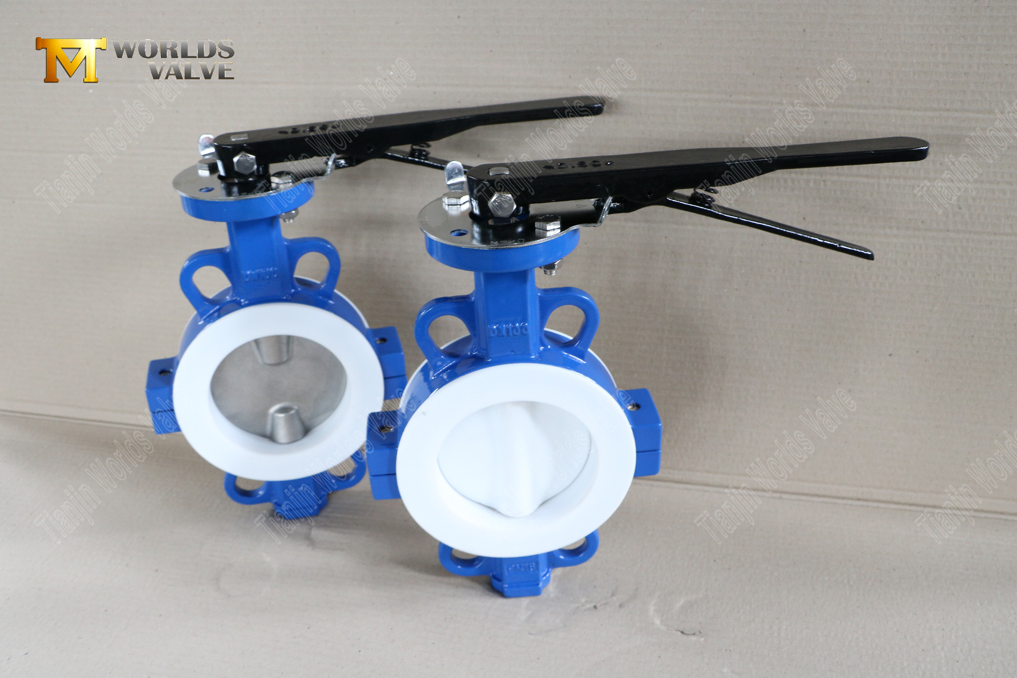 DN100-TEFLON LINED-WAFER-SPLIT-BOUDY-Butterfly-Valves-устойчивый
