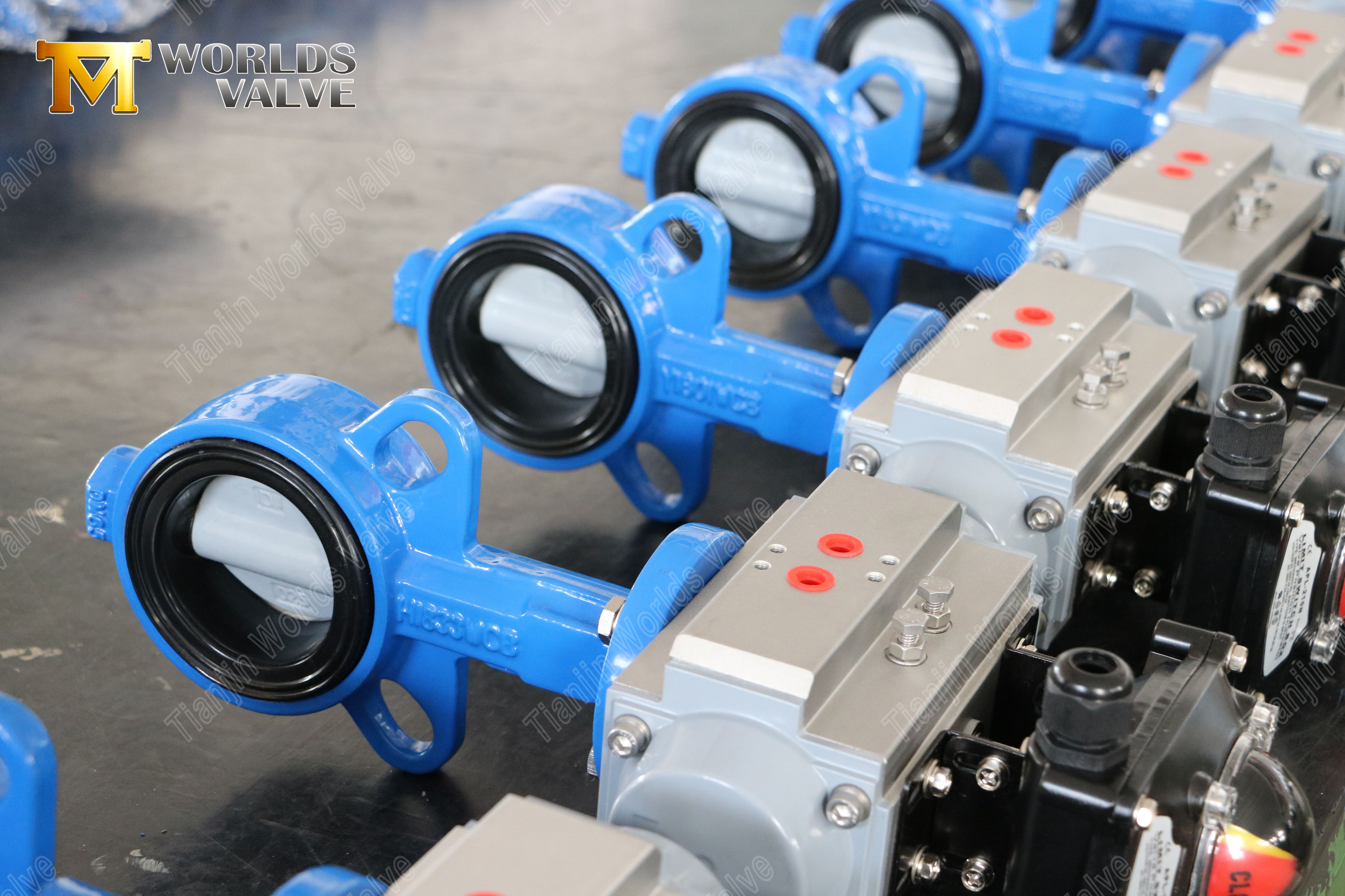 Клапан бабочки пластины с нейлоновым покрытием диска и экономически эффективной коррозионной устойчивости к коррозии-1 (2)