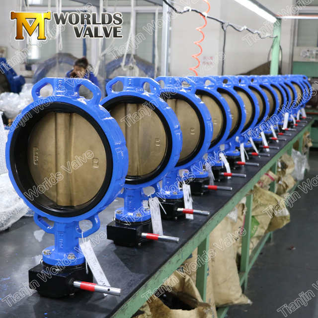 GGG40 / GGG50 A536 A395 Движно-железо Бабочки Клапаны