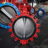 Поворотный клапан с проушинами и сменным седлом из EPDM | Корпус DI CF8M Диск | OEM-поставщик