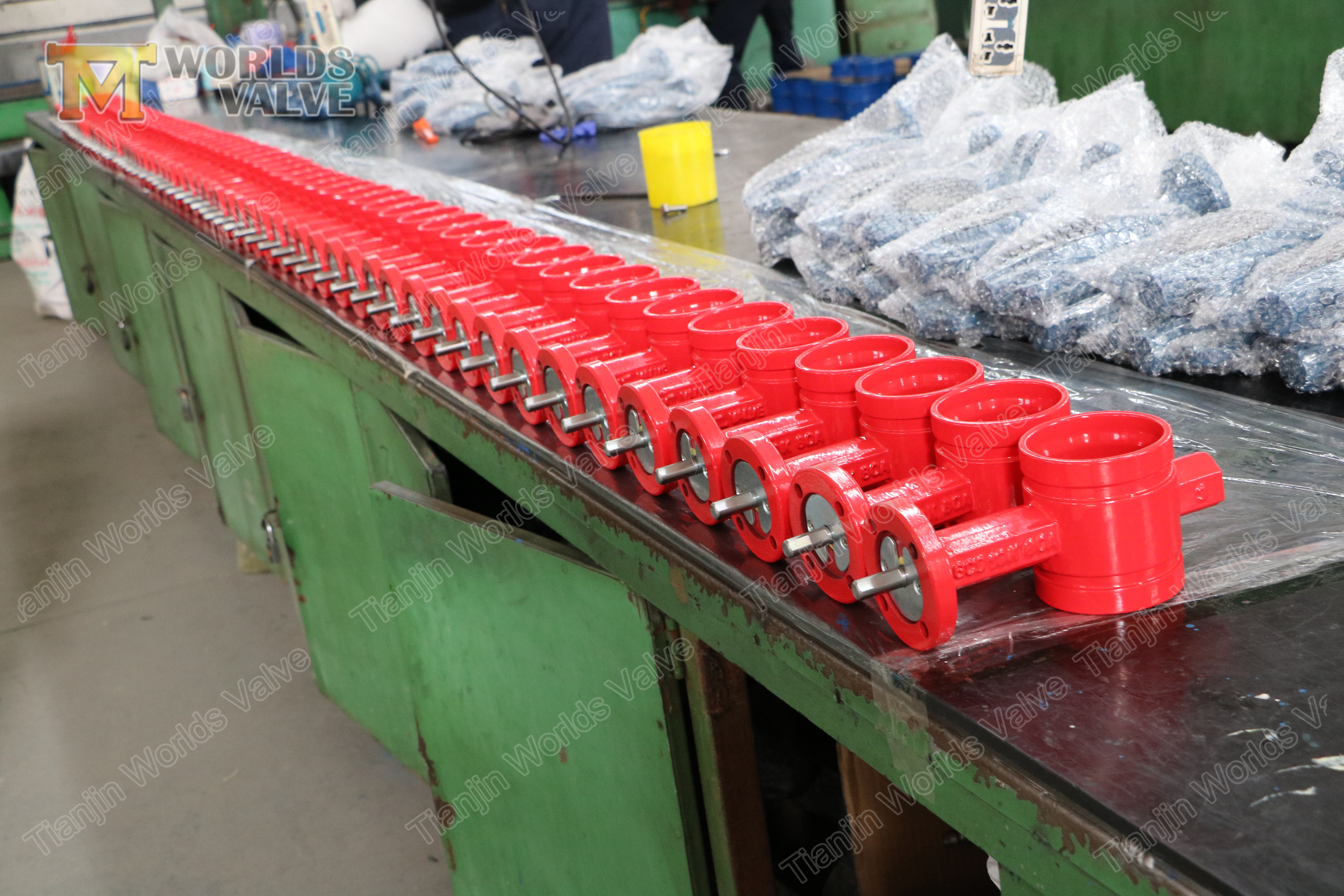 3 Движно-железнодорожный клапан бабочки