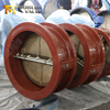 24 DN600 GGG40 Корпус CF8M Дисковый двухпластинчатый обратный клапан PN10 Надежный поставщик клапанов