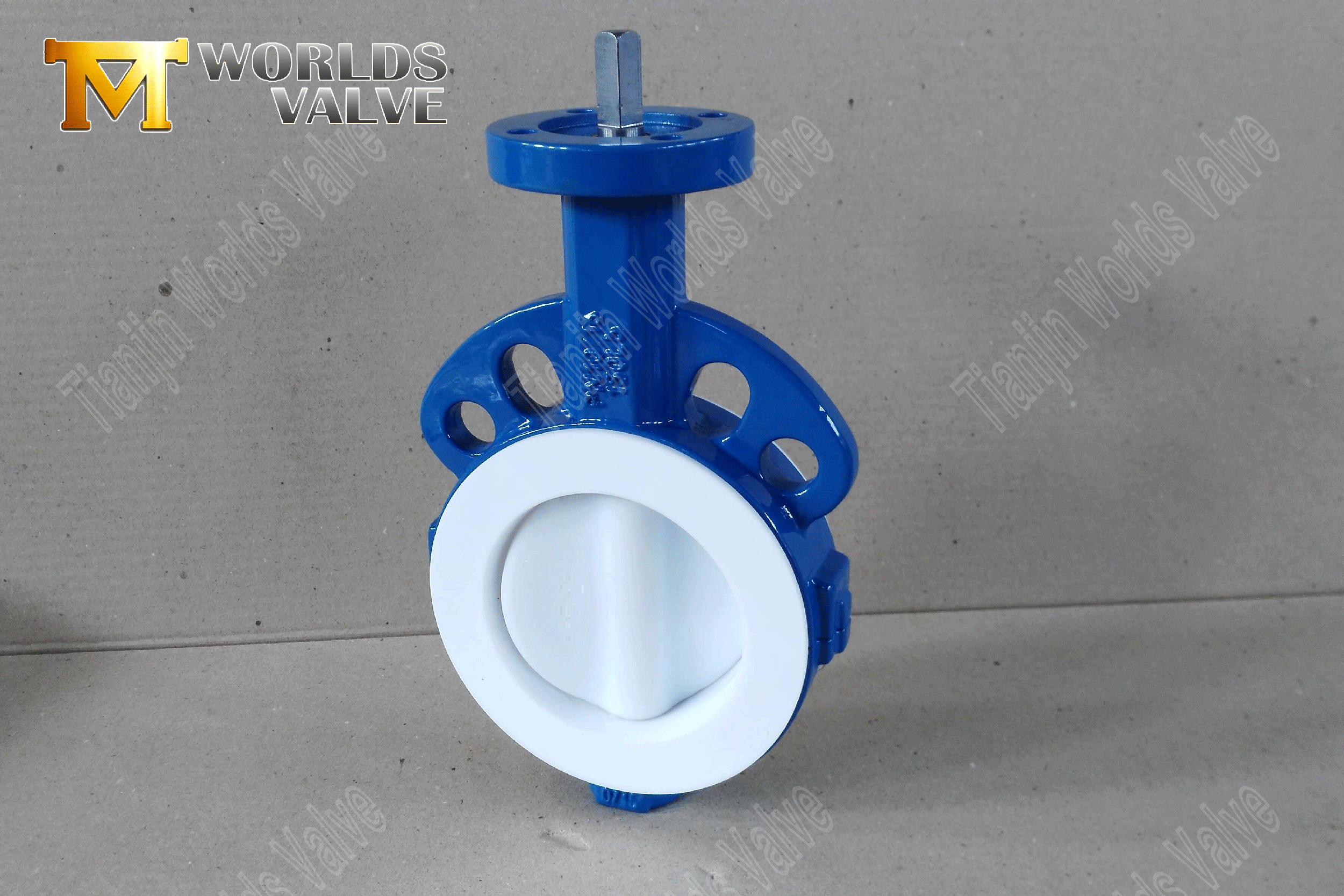 PTFE-Liken-Butterfly-Valve2