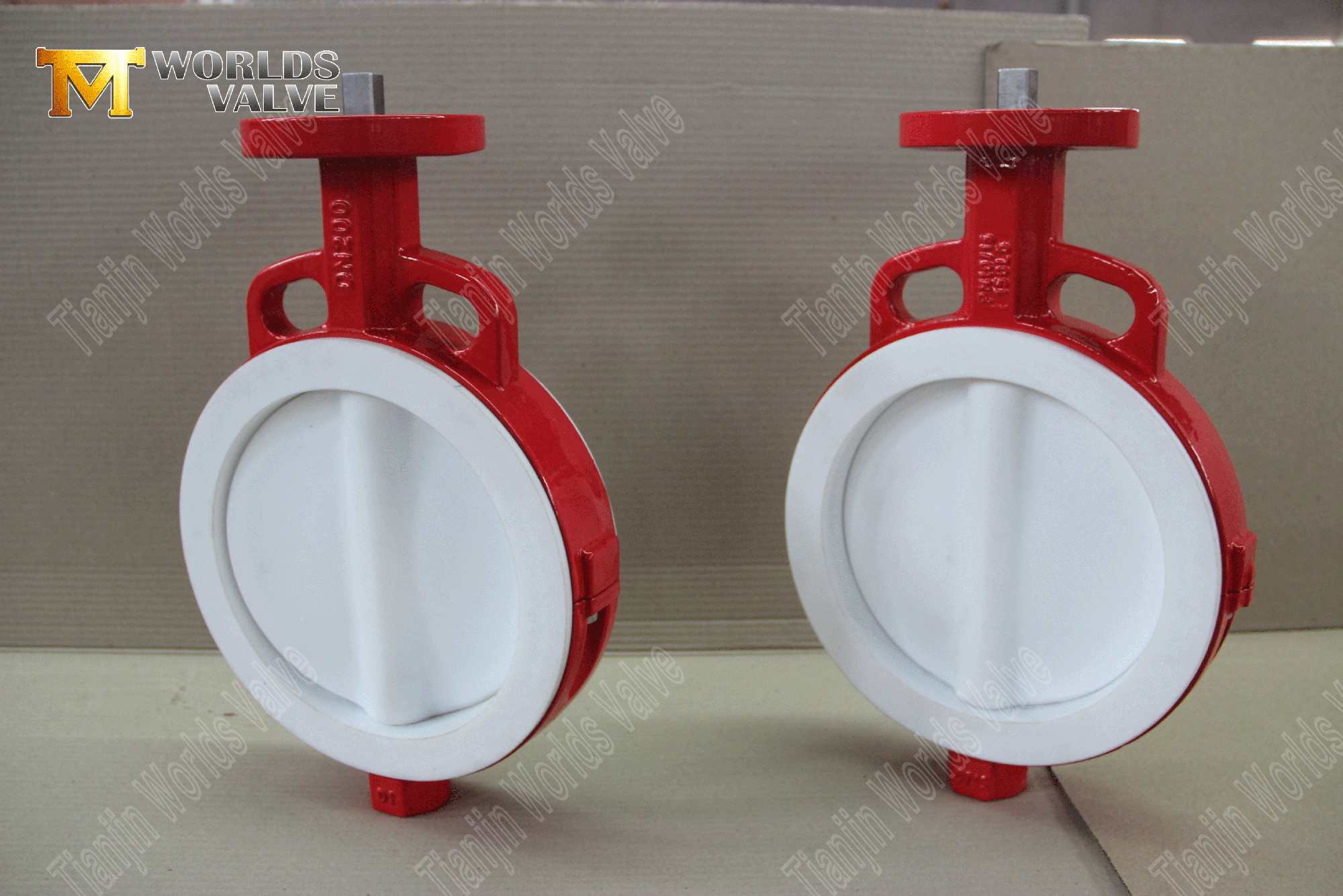 Ptfe-ully-inded-wafer-butterfly-valve- (4)