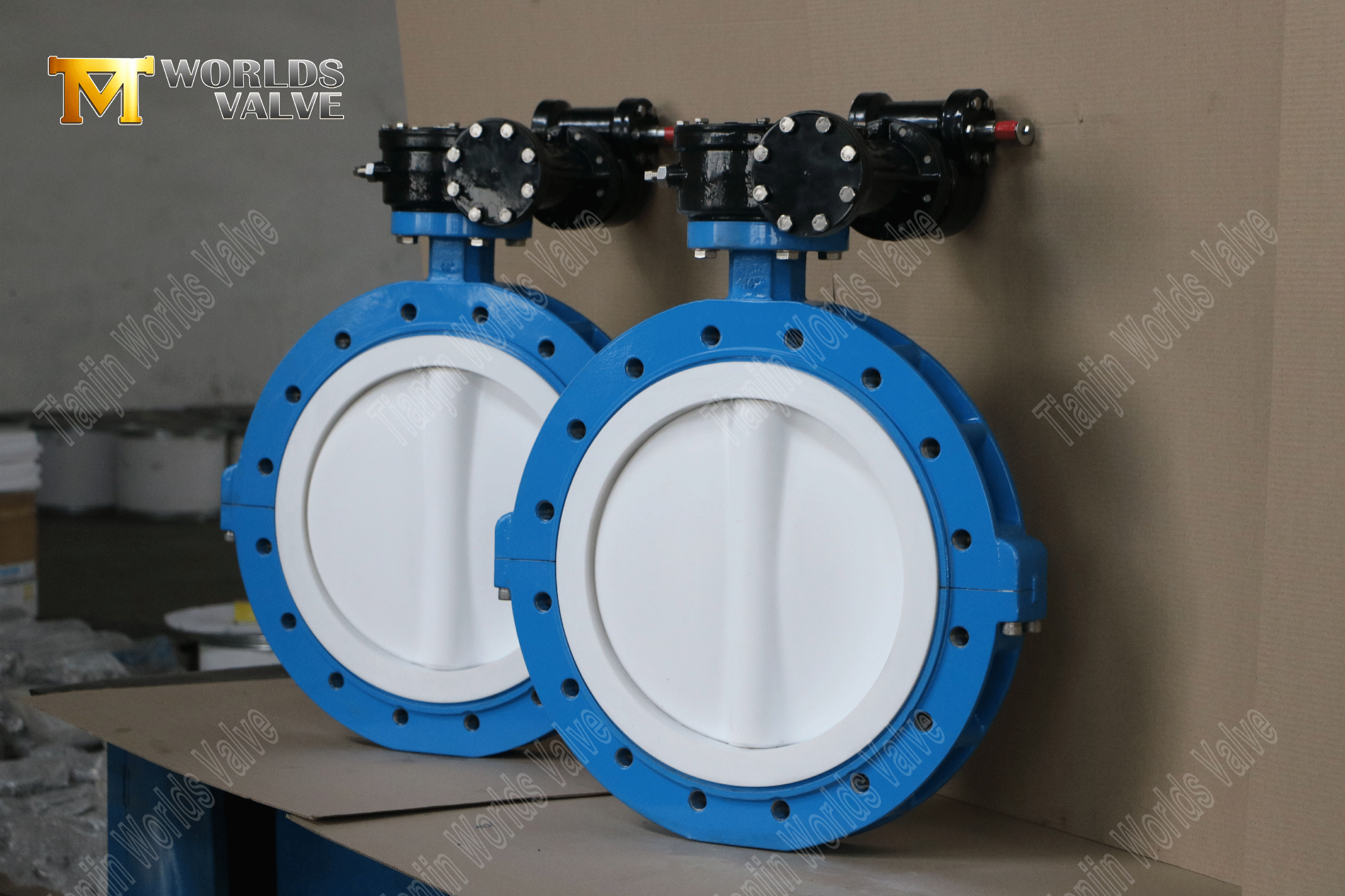 Клапаны для сиденья и диск-бабочка типа PTFE с червями Gear-3 (1)