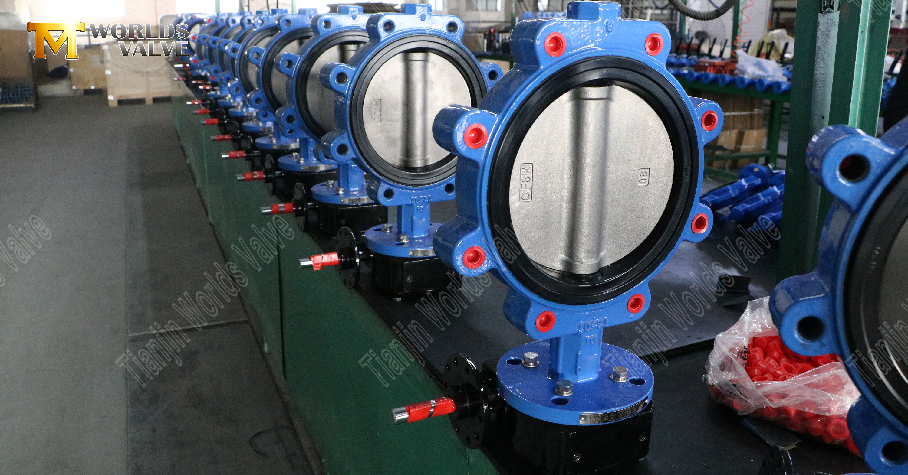 Поворотный клапан с выступом, седлом из мягкой резины и диском из нержавеющей стали (1)