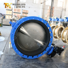 AWWA C504 Резиновые клапаны бабочек с диск DI DISC