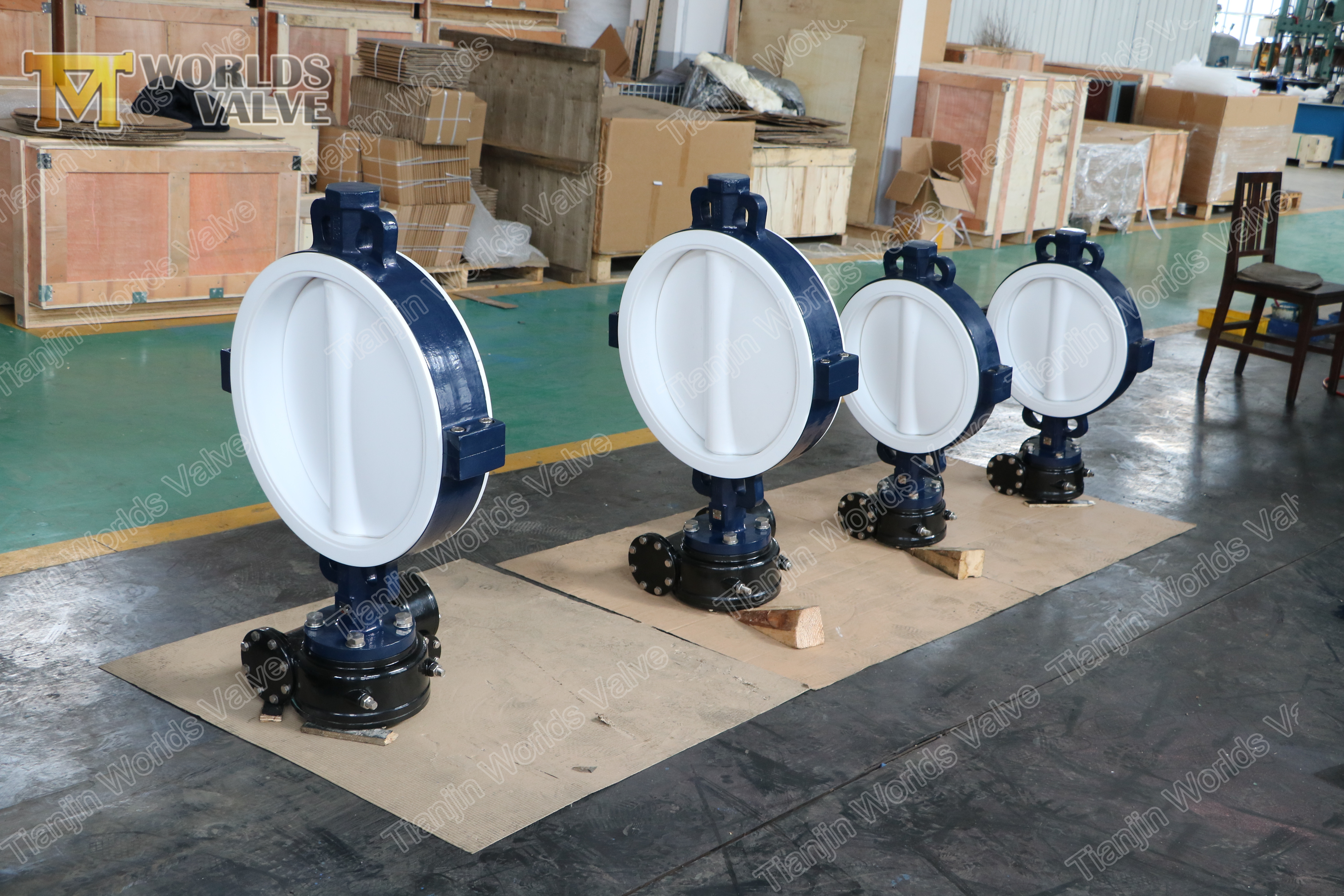 5 A536 A395 Клапан бабочки PTFE PTFE