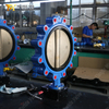 PN16 LUG Поворотный клапан с корпусом из ковкого чугуна и диском CF8M | Китай OEM-поставщик клапанов