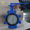 Поворотный клапан с проушинами и сменным седлом из EPDM | Корпус DI CF8M Диск | OEM-поставщик