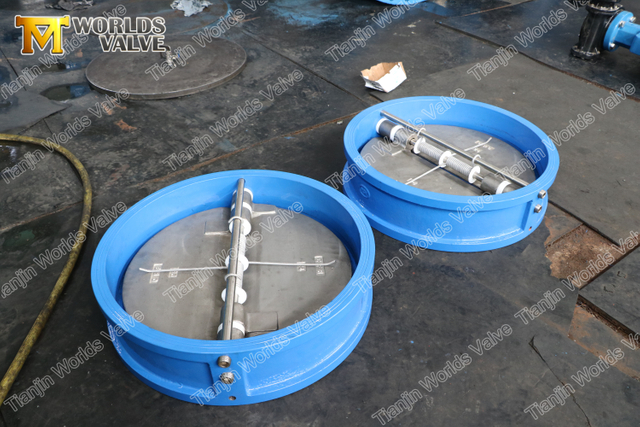 Обратные клапаны с откидной пружиной Dou Wafer API594 150LB