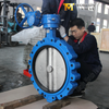 OEM | Производитель клапана ODM - устойчивые сидячивые бабочки в стиле