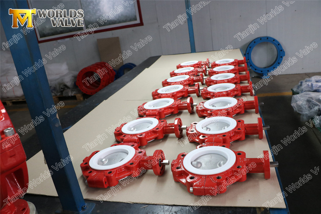 Двухстворчатые клапаны-бабочки PN10 PN16 CLASS150 с вкладышем из ПТФЭ с двумя корпусами PCS