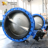 AWWA C504 Резиновые клапаны бабочек с диск DI DISC