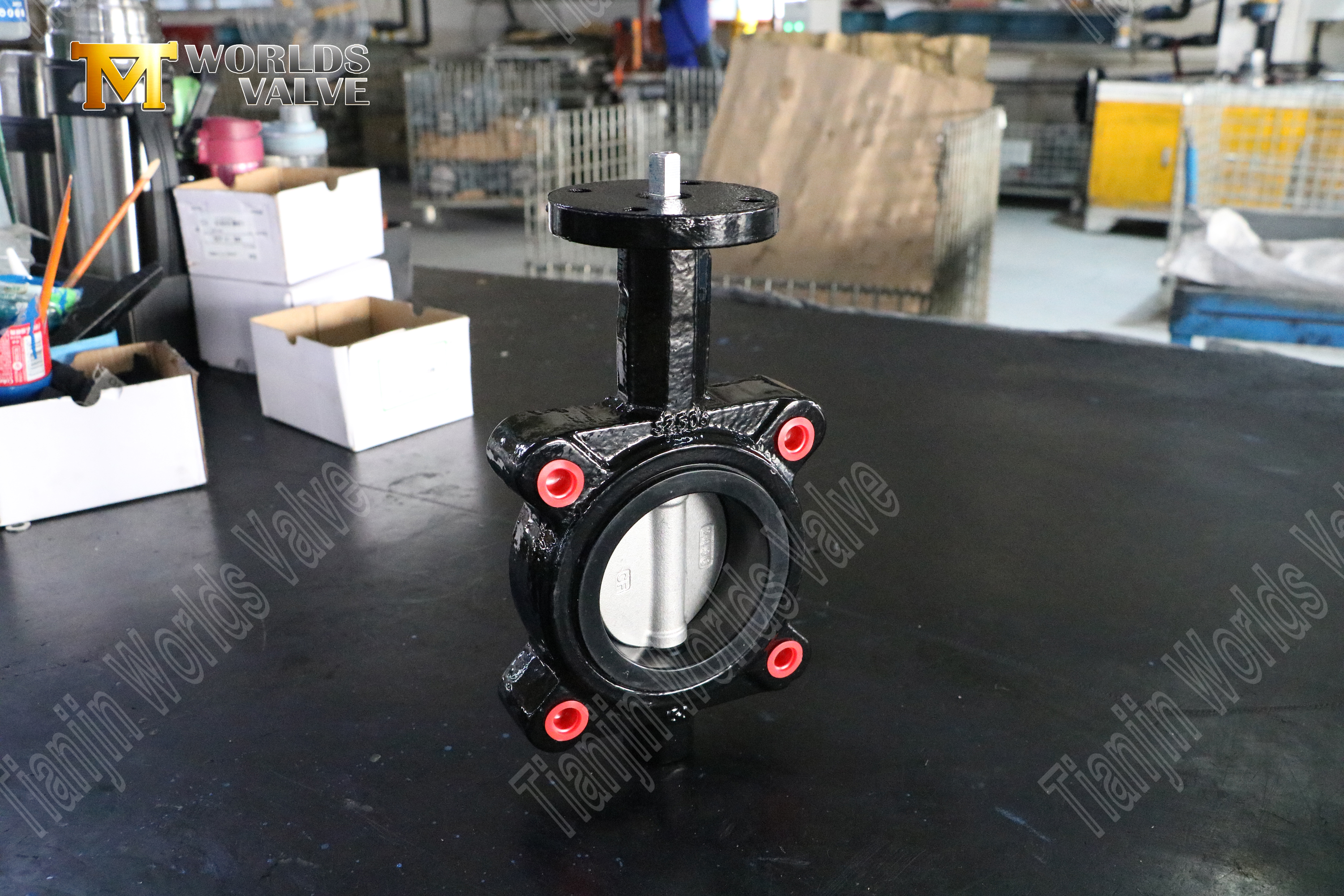 EPDM Seat Butterfly Clap с CF8M Диск-Lug Type Butterfly Casterler-1 (3)