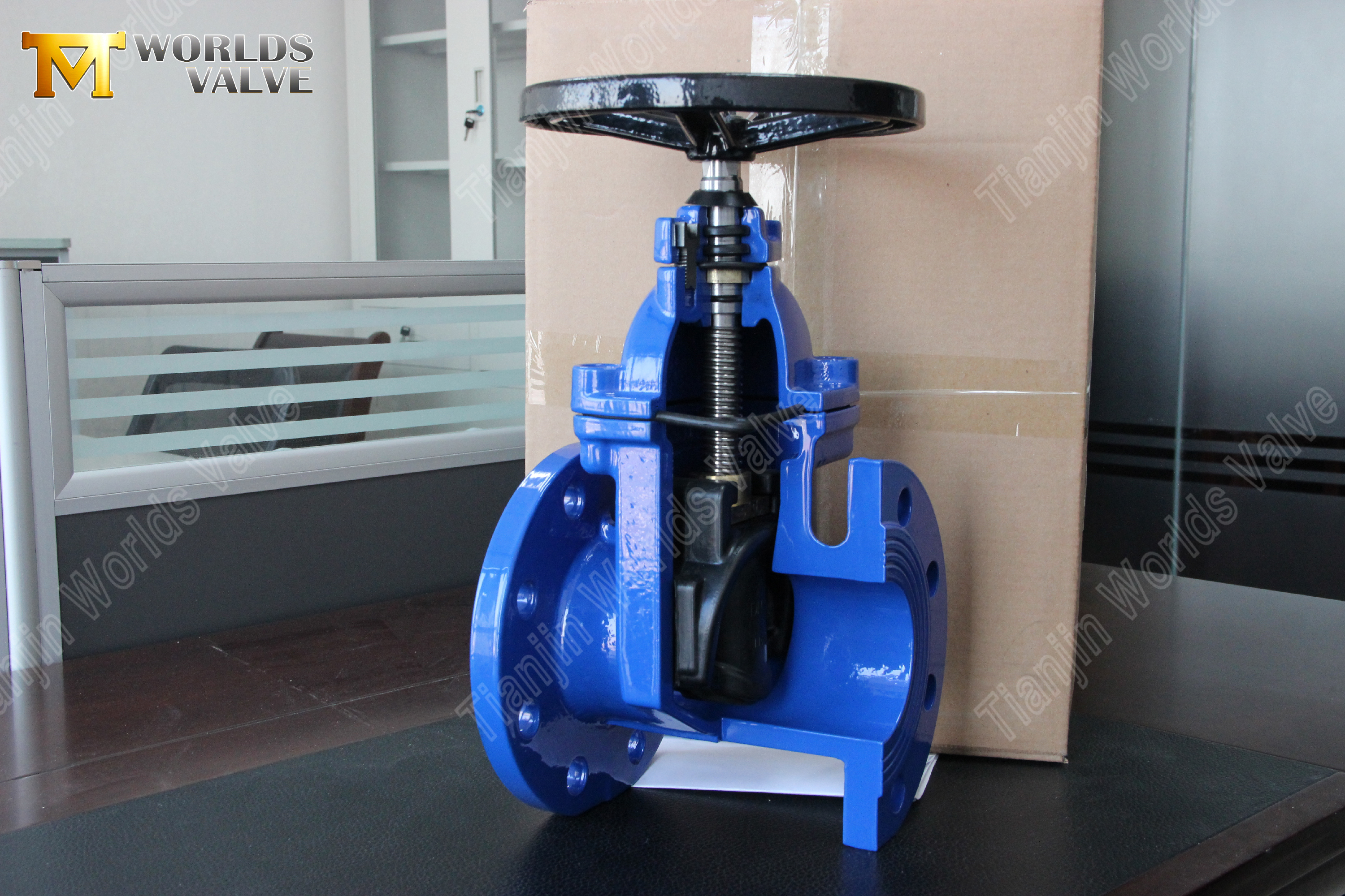 BS5163 Задвижка из ковкого чугуна с упругим седлом и невыдвижным штоком Надежное решение для контроля воды-1 (1)