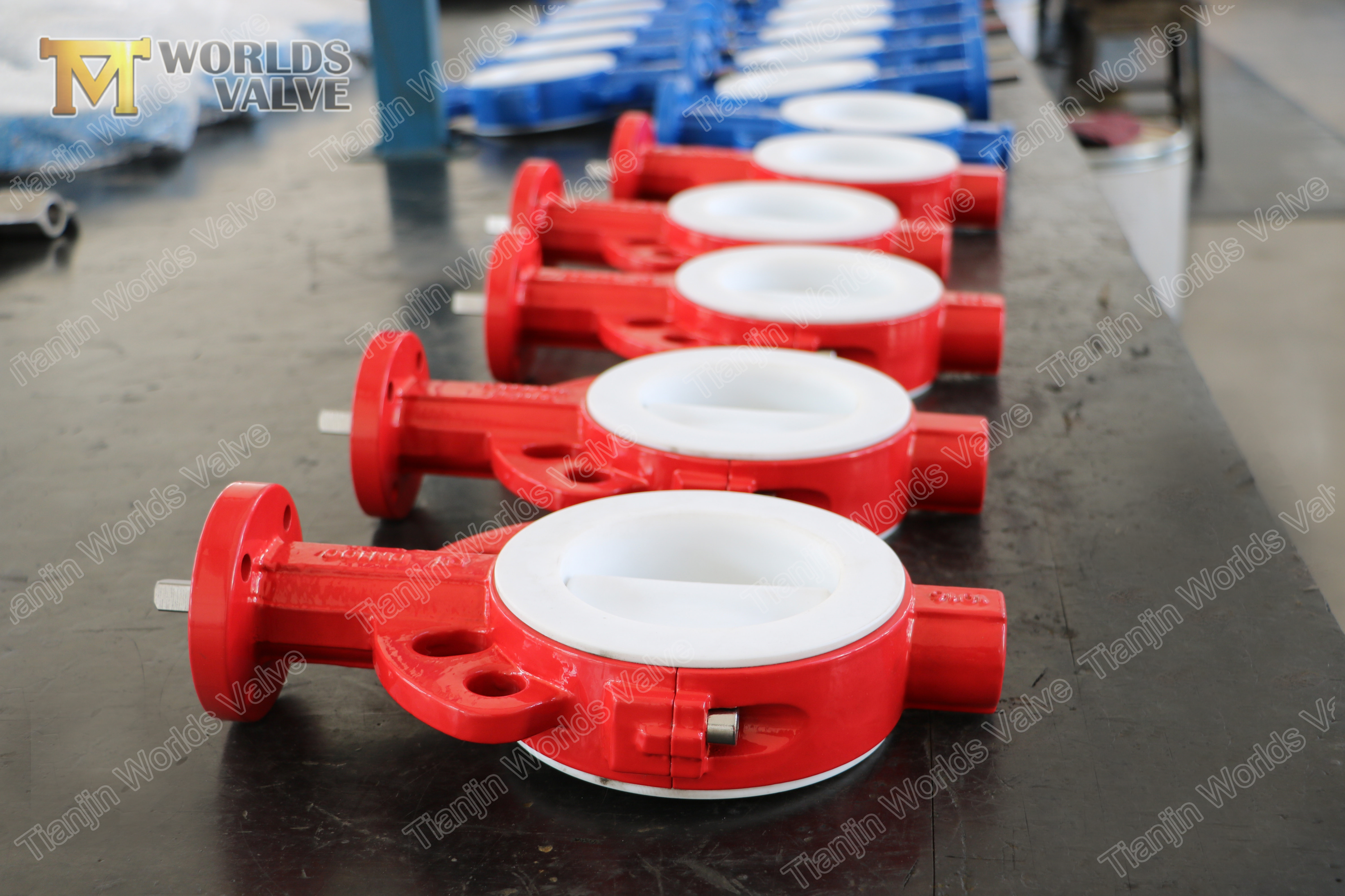 4 Full PTFE подкладка вафельного типа концентрический клапан бабочки