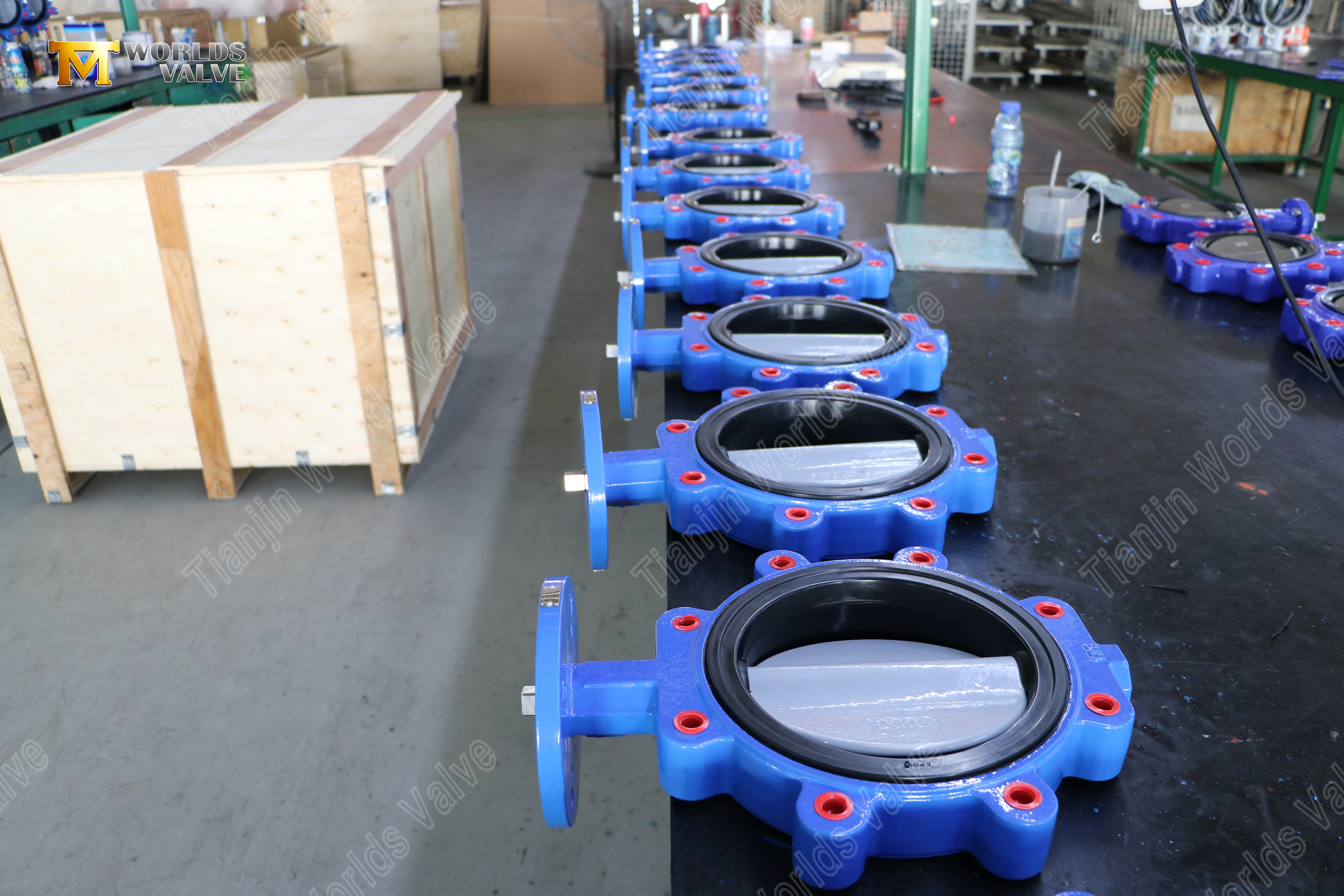 Дисковый затвор с проушинами и сменным седлом из EPDM. Корпус DI. OEM-поставщик дисков CF8M (8)