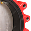 Поворотный клапан с проушинами и сменным седлом из EPDM | Корпус DI CF8M Диск | OEM-поставщик