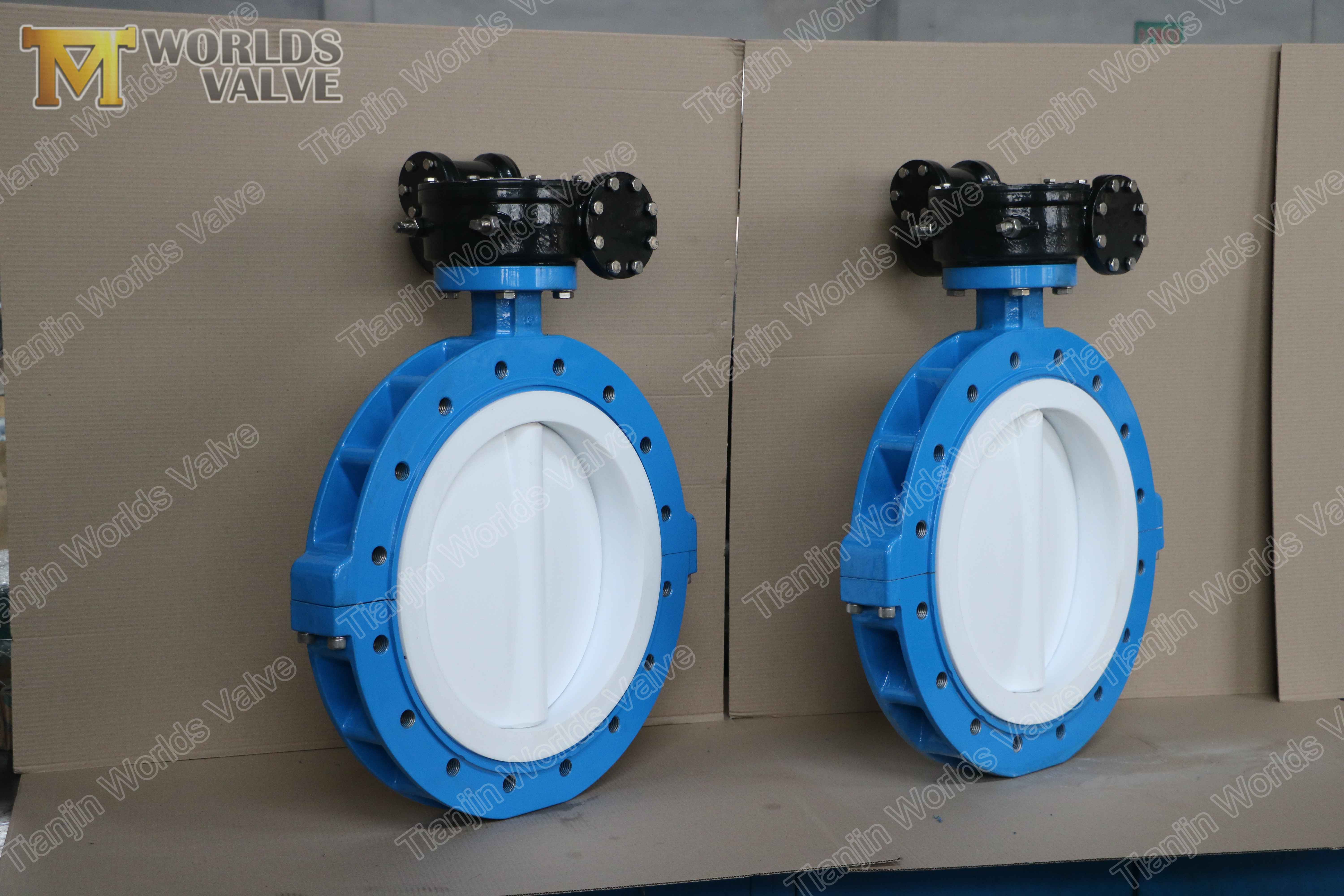 5 PN10 PN16 Класс 150, JIS 10K, CE ISO9001, Тордт железа, диск PTFE и море (1)