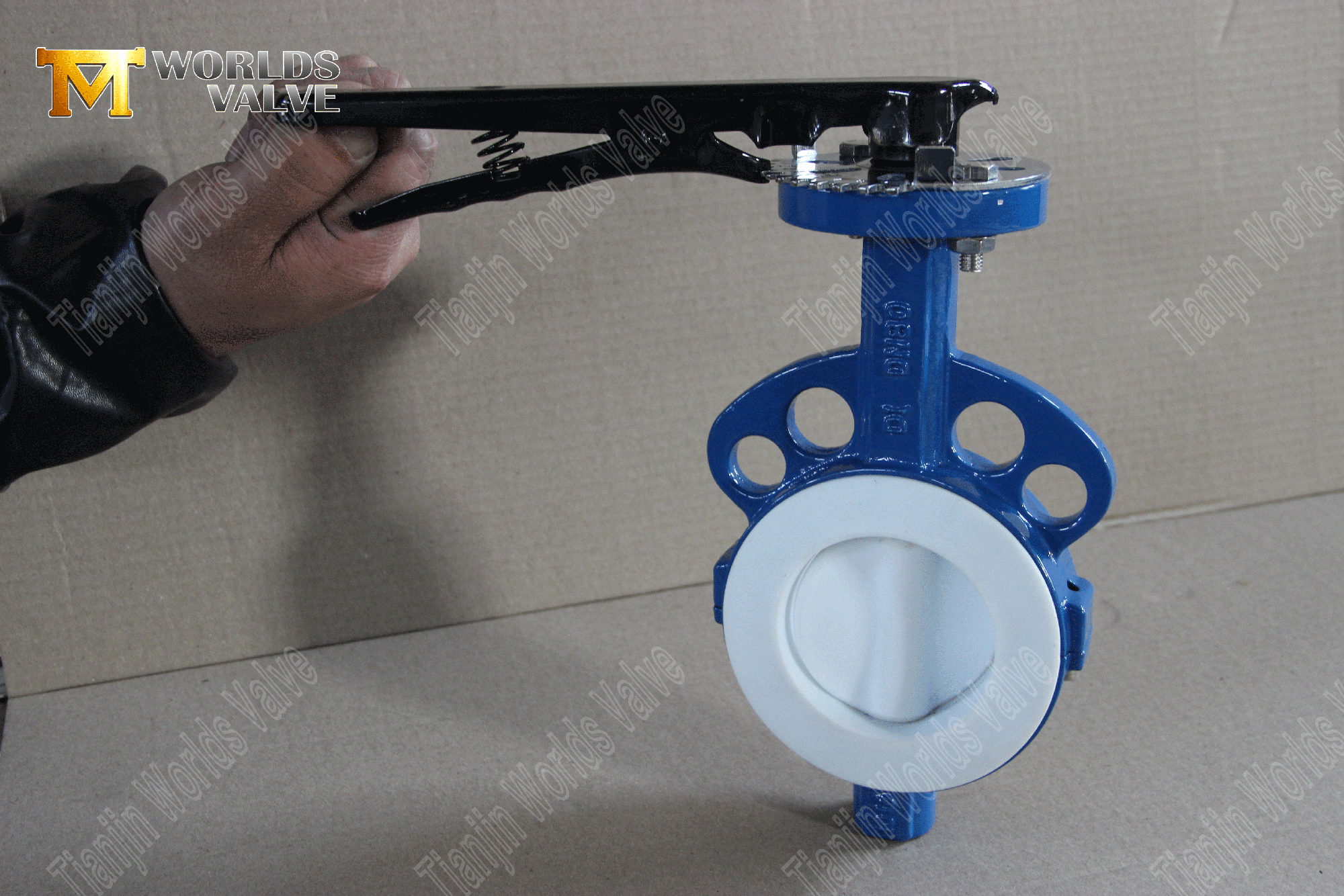 Ptfe-ully-inded-wafer-butterfly-valve- (6)