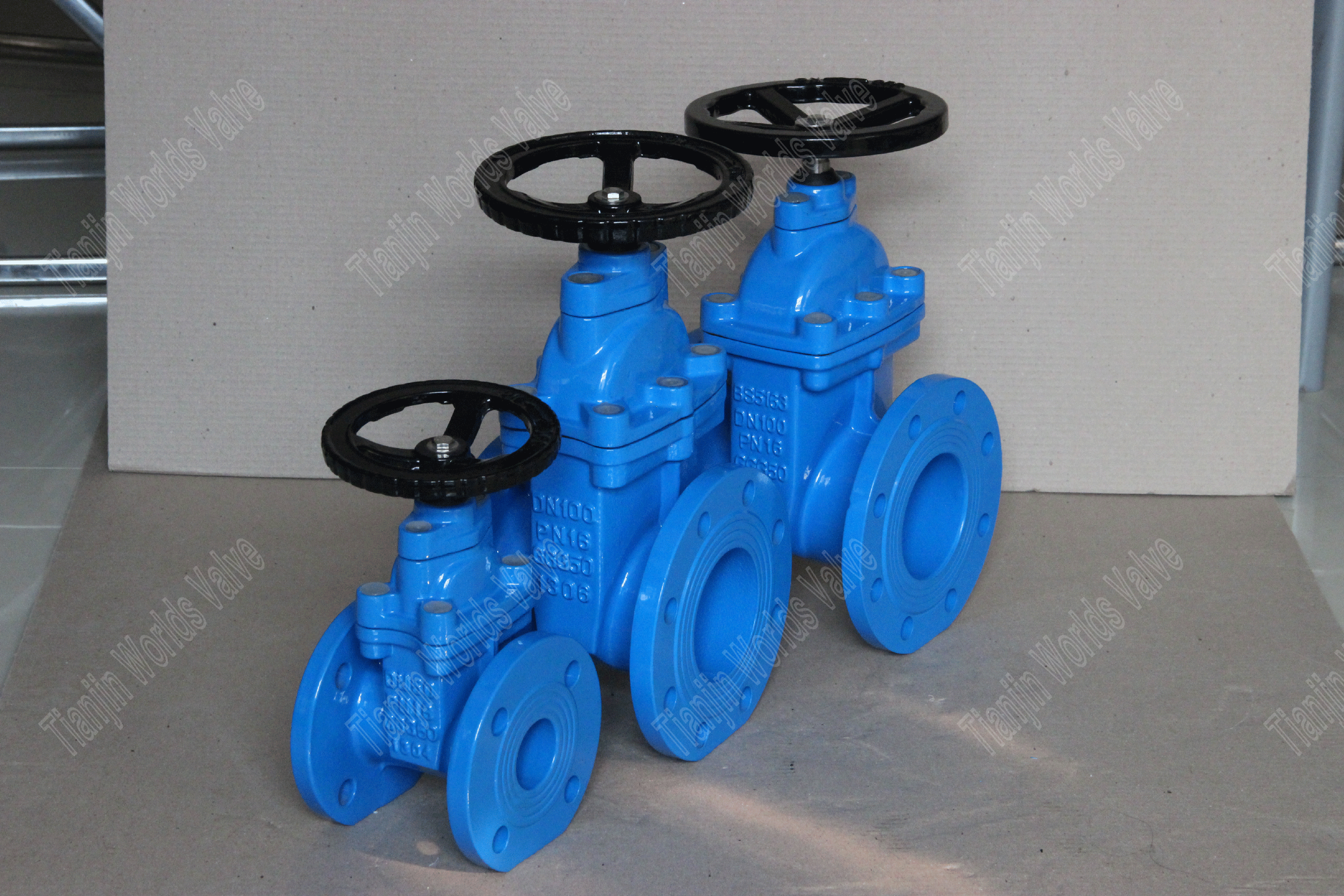 BS5163 EPDM, сидящие DI Неразовые клапаны стволовых затворов (6)