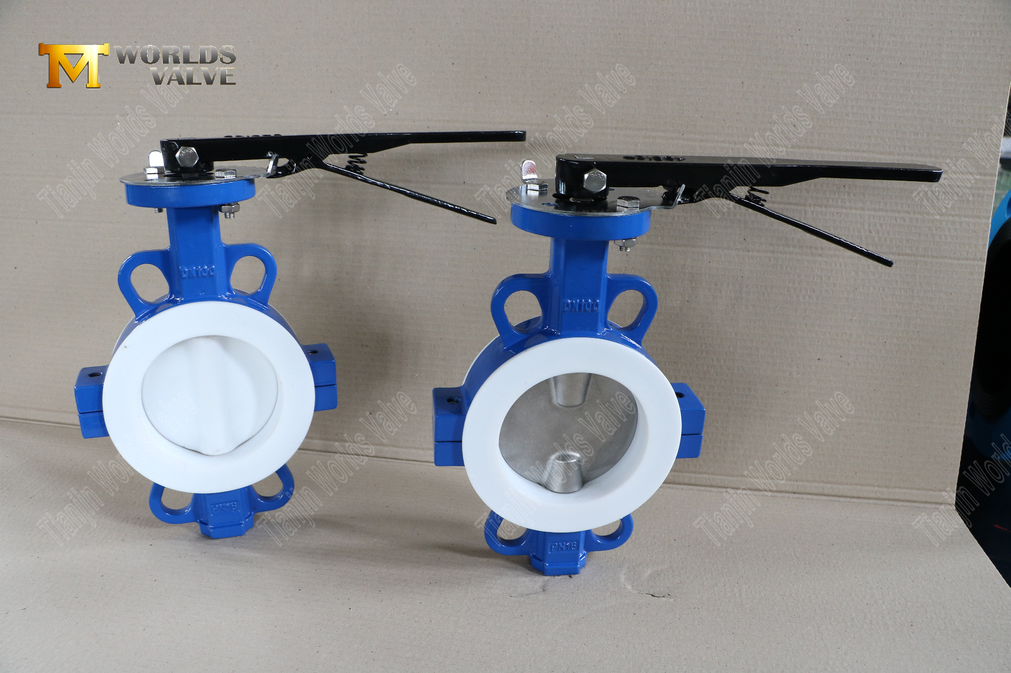 DN100-TEFLON LINED-WAFER-SPLIT-BOUDY-Butterfly-Valves-устойчивый