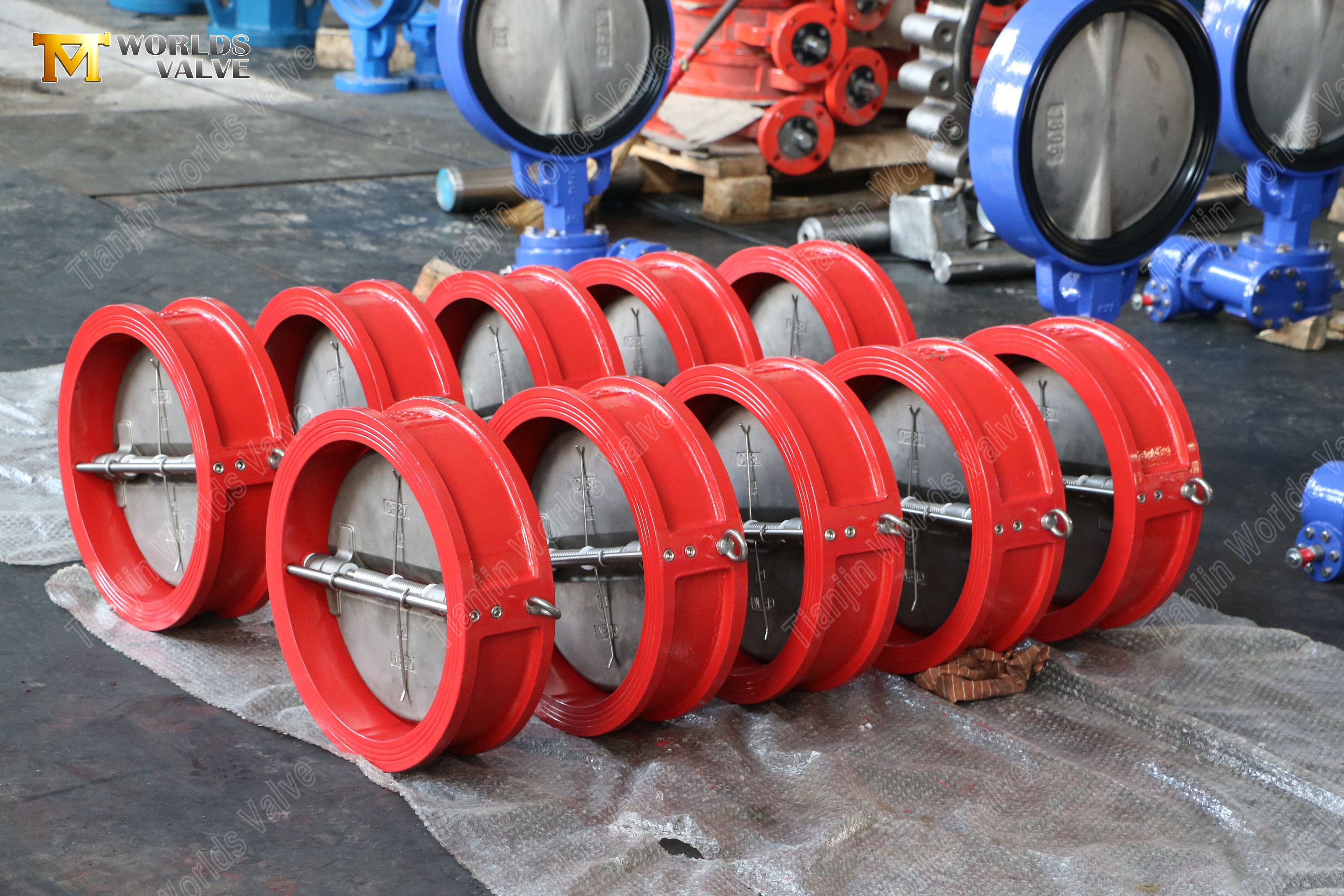 24-DN600-GGG40-Корпус-CF8M-Диск-Двойной-Пластина-Вафля-Обратный Клапан-PN10--Надежный-Поставщик-Клапана-3