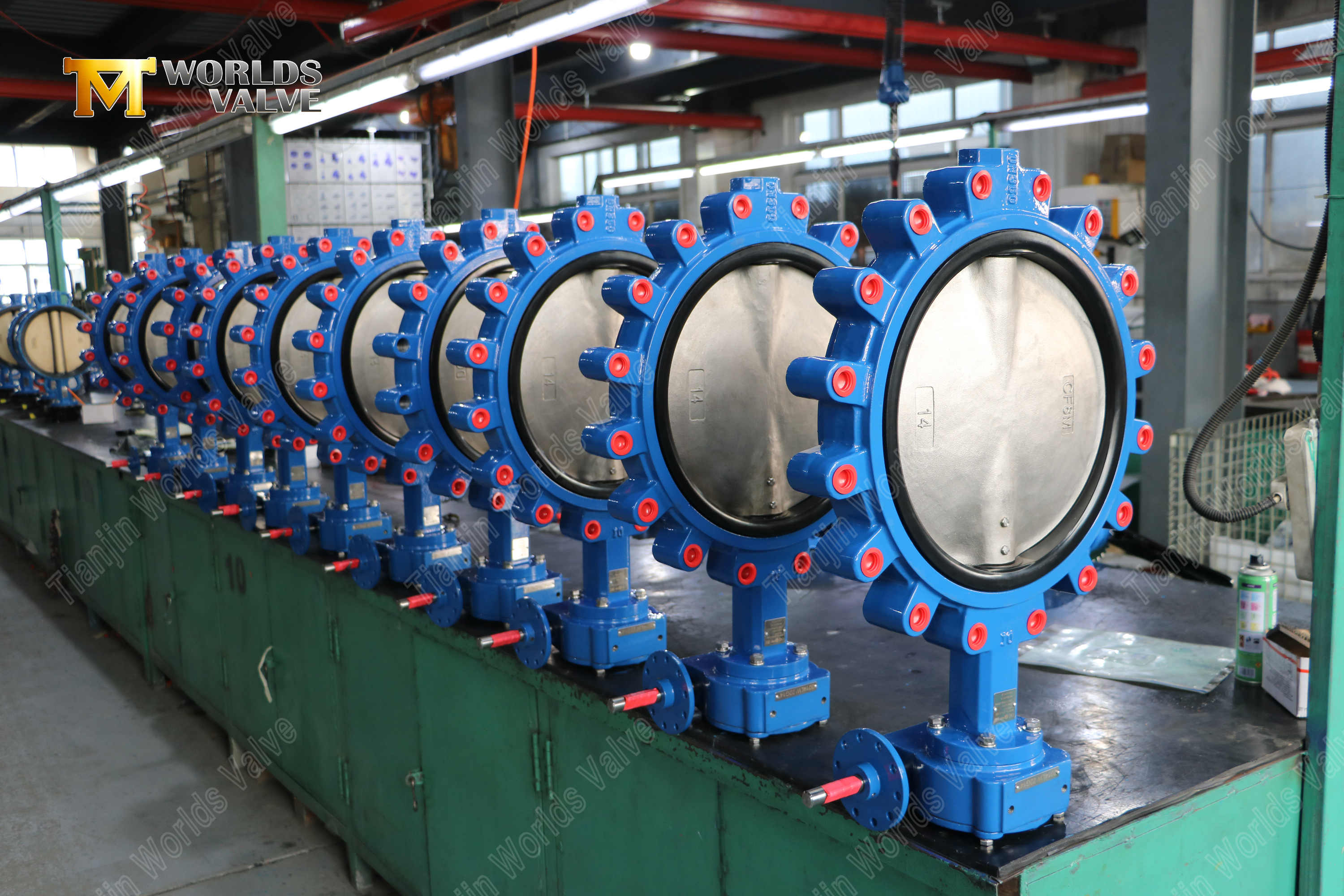 Клапан-бабочка с проушиной CF8M Disc PN16 (8).jpg