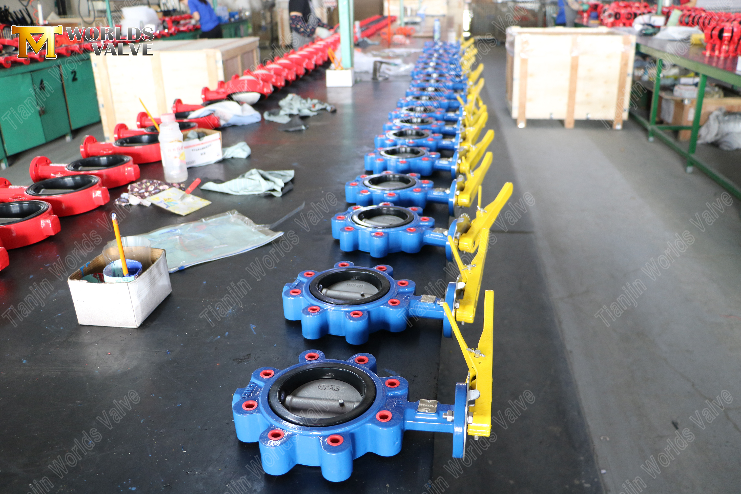Дисковый затвор с проушиной CF8M, диск PN16 (9).jpg