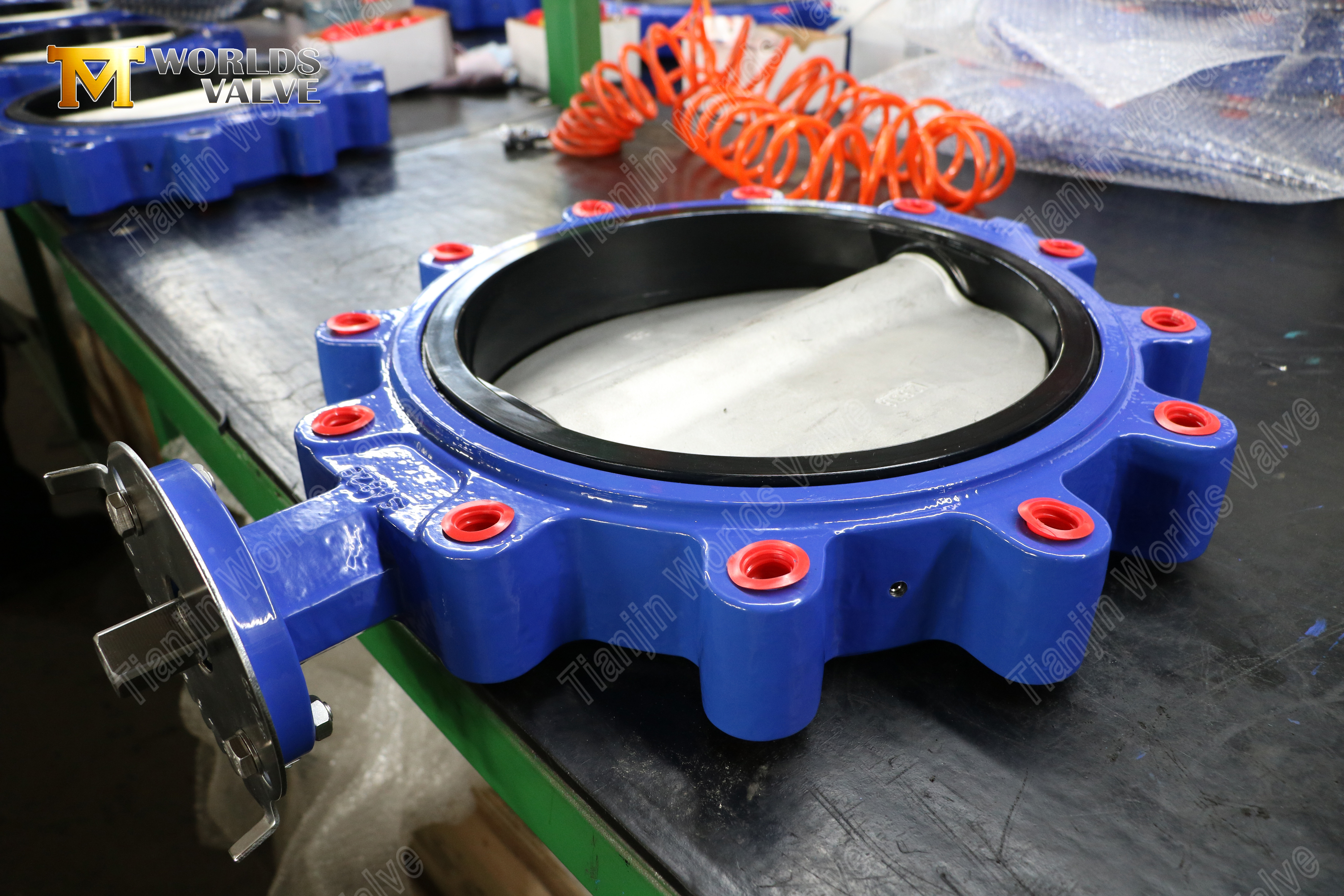 Поворотный клапан с проушинами — седло из NBR, диск CF8M, OEM-производитель (3).jpg