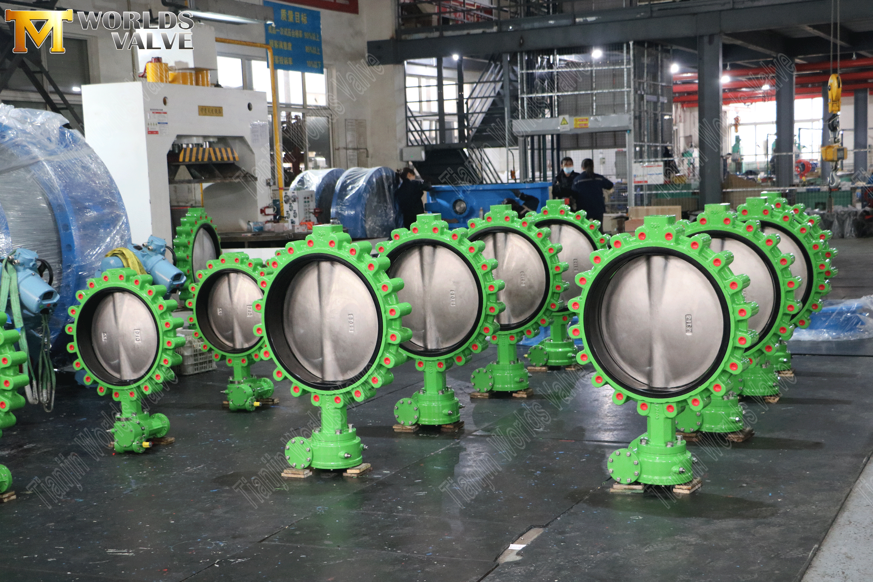 Поворотный клапан с проушинами — диск CF8M, седло из EPDM, класс 150, OEM-производитель (5).png
